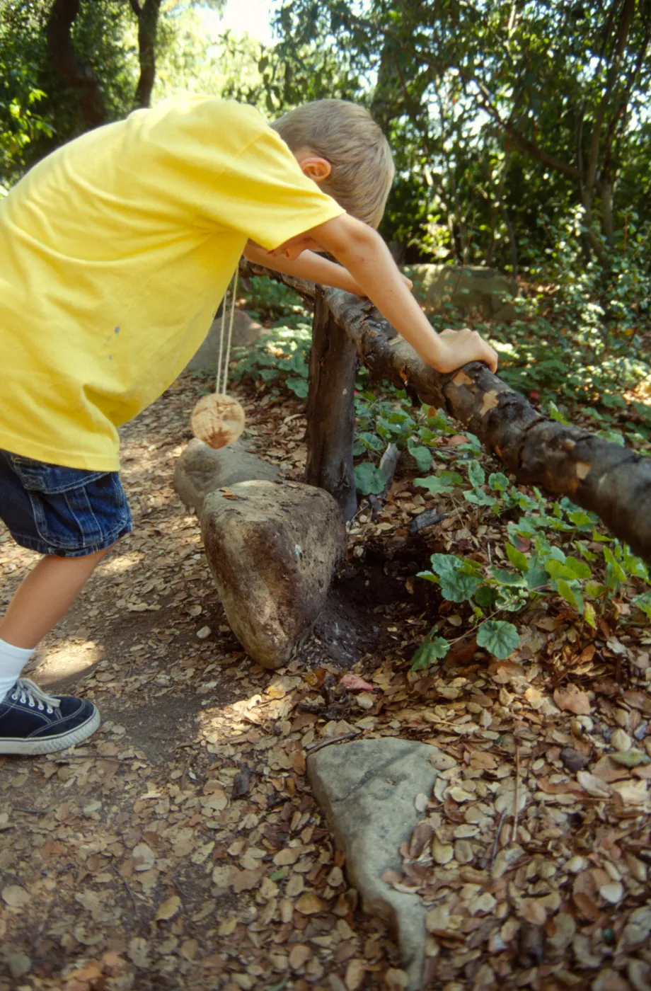 Nature Camp 2000