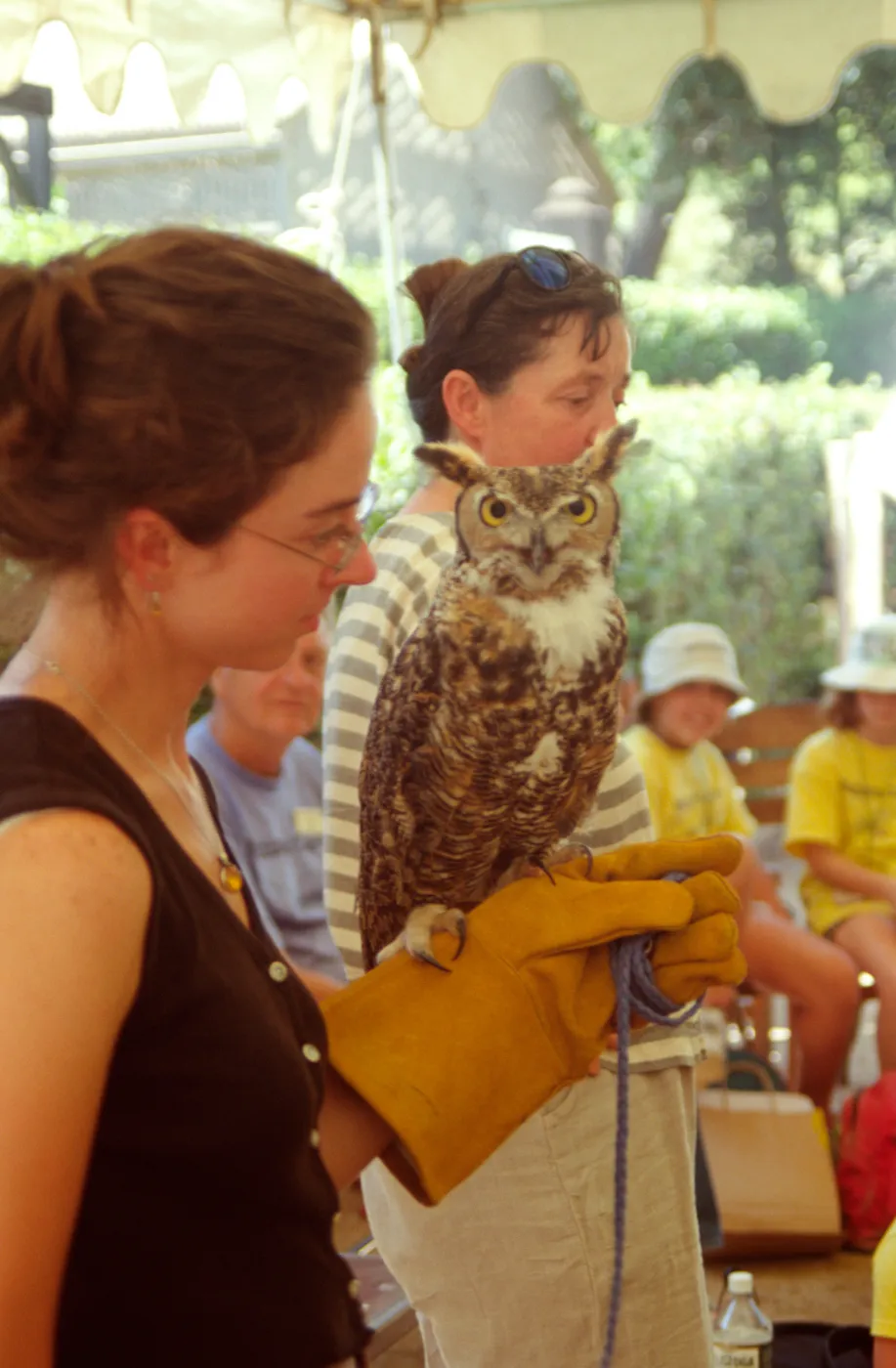 Nature Camp 2000 - Staff Member with Owl
