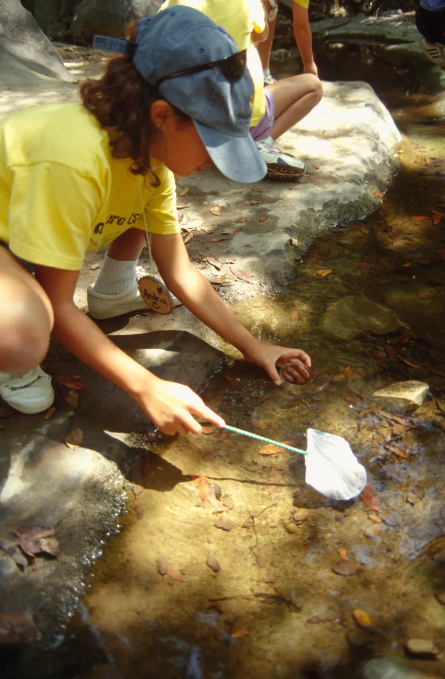 Nature Camp 2000