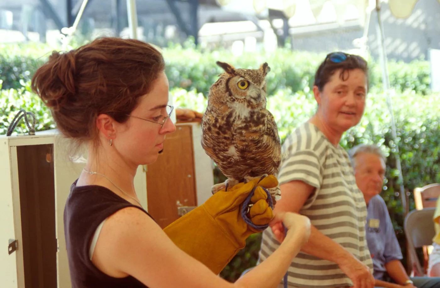 Nature Camp 2000