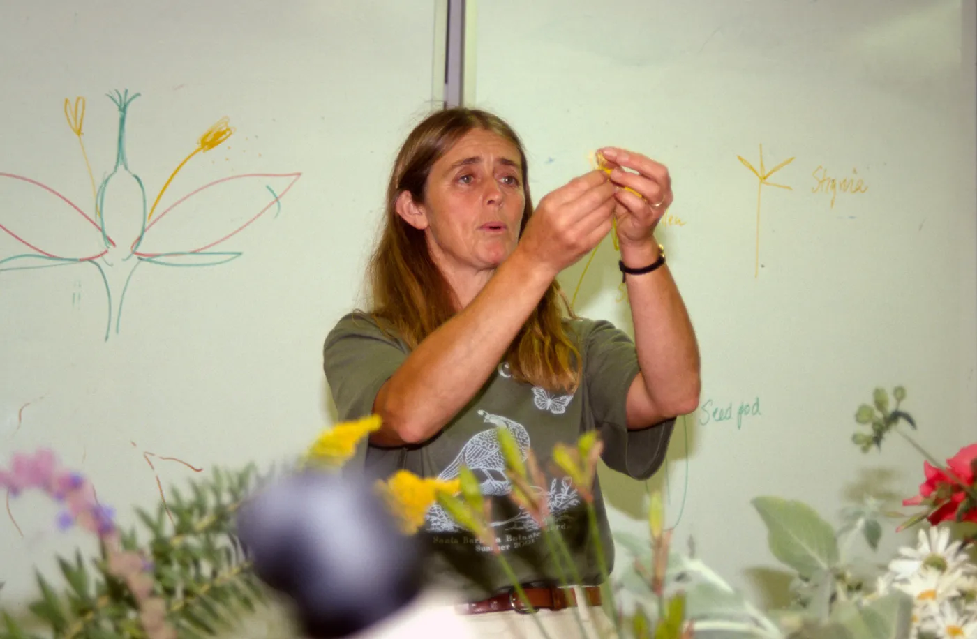 Nature Camp 2001