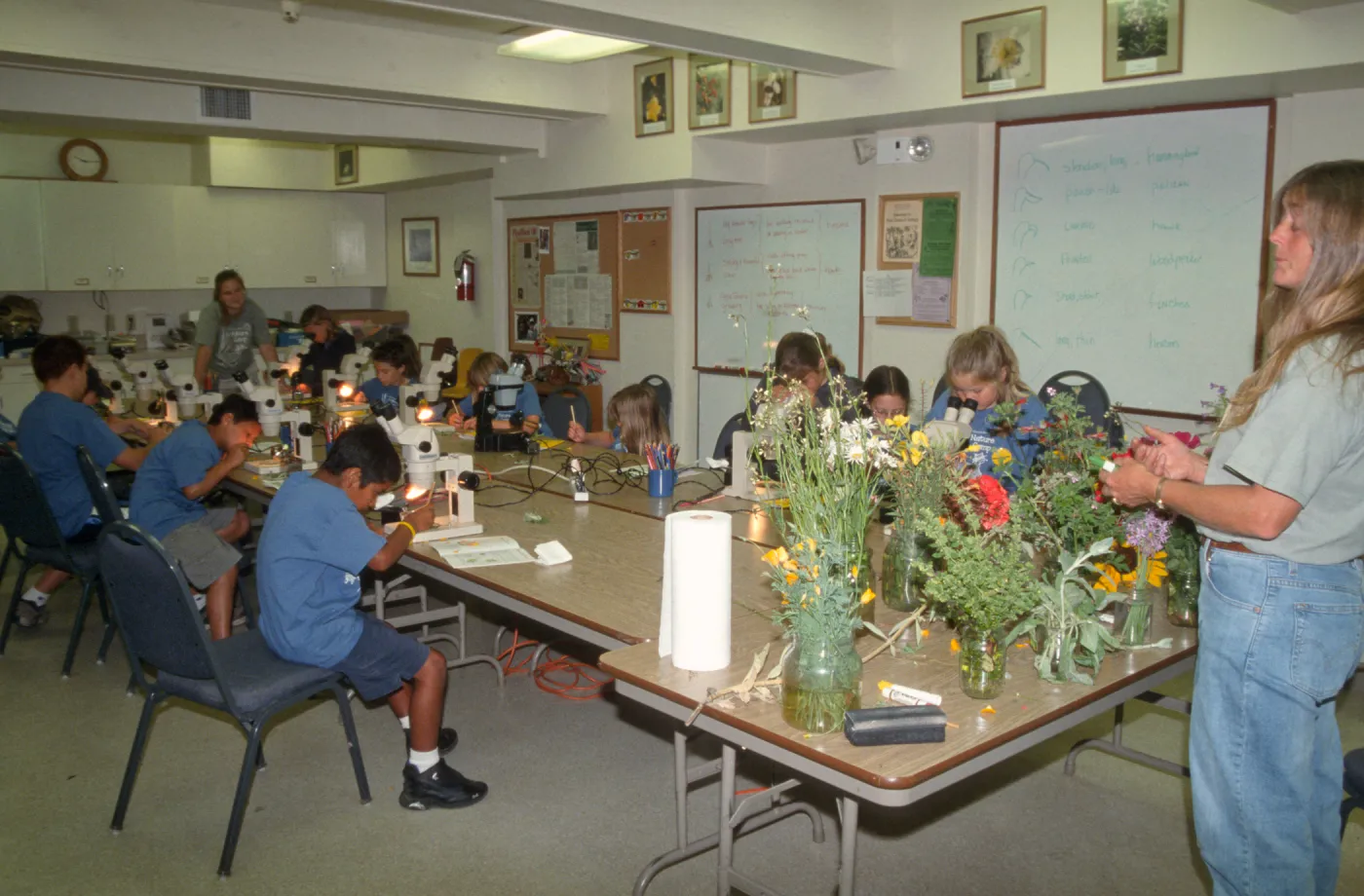 Nature Camp 2003
