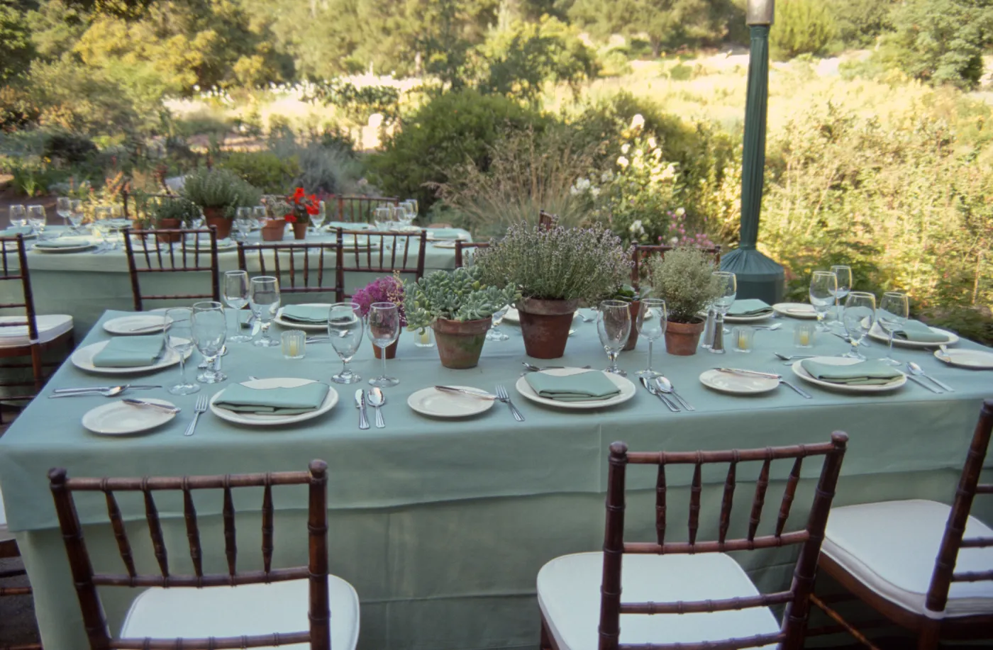 Redwood Dinner 1999