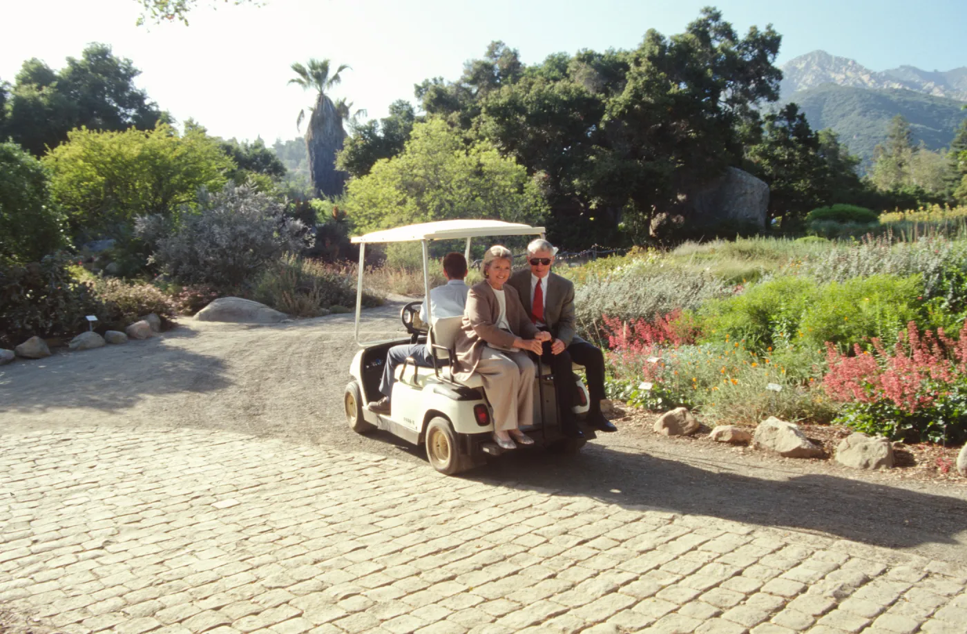 Redwood Dinner 1999