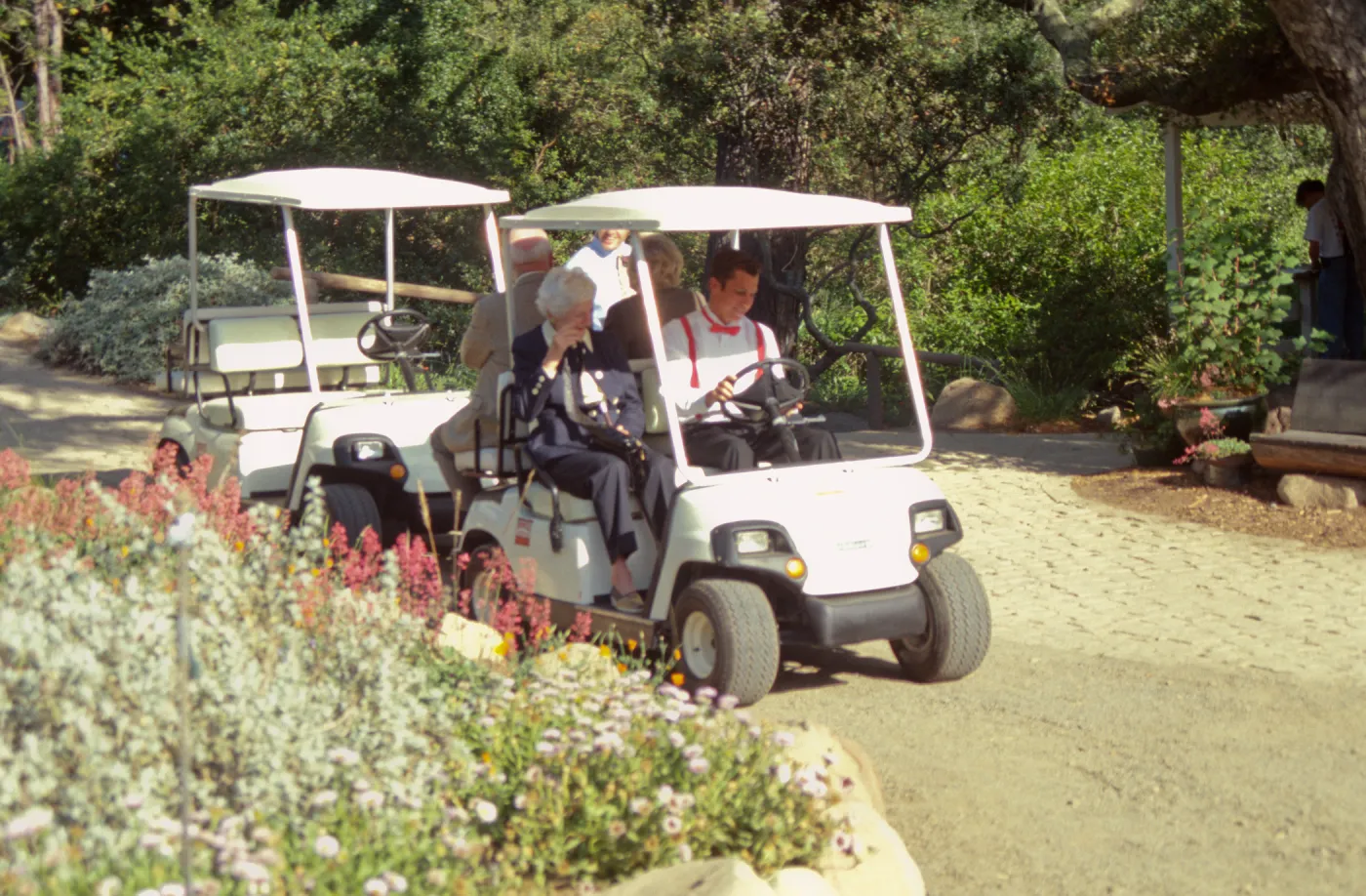 Redwood Dinner 1999