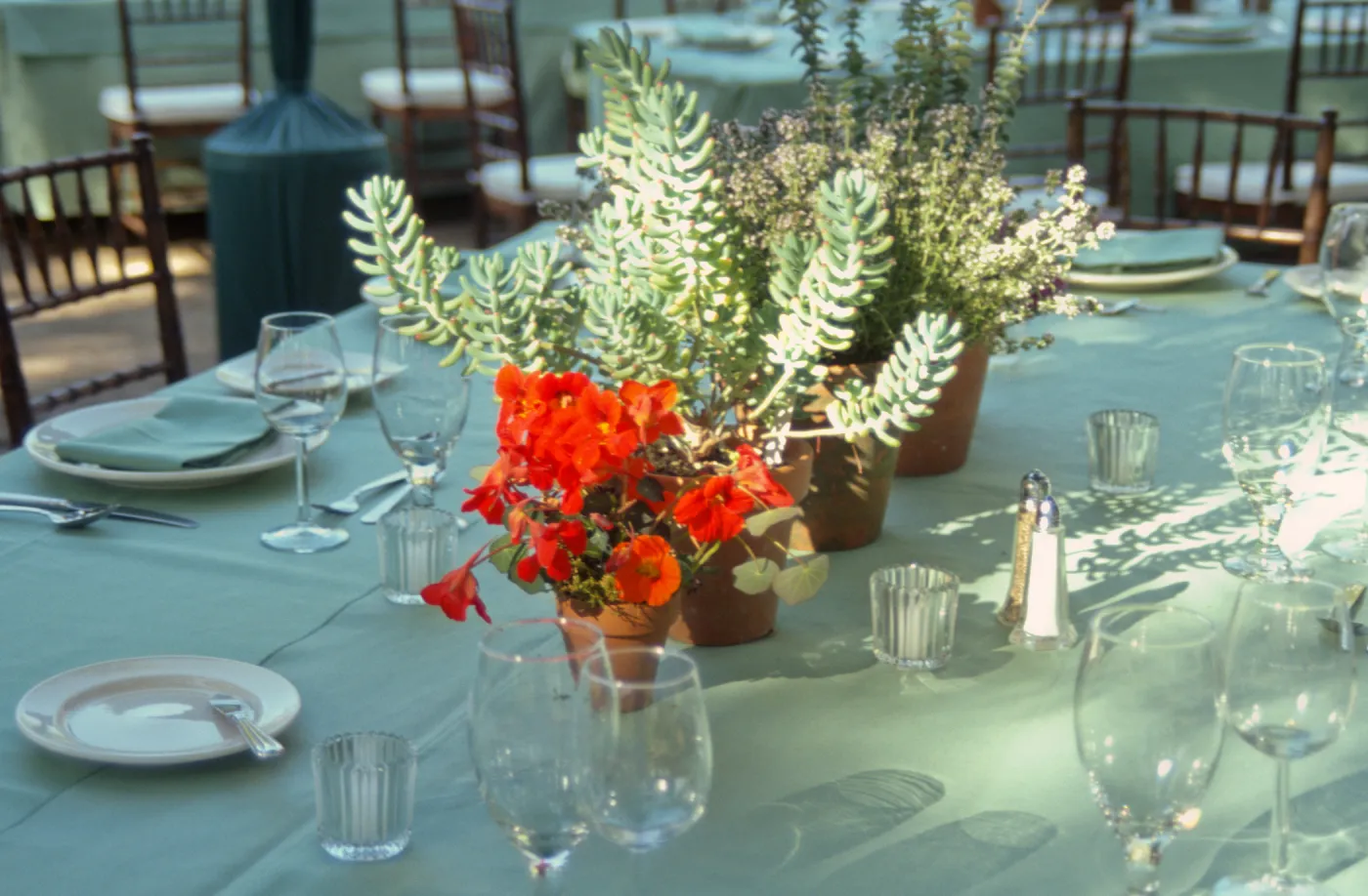 Redwood Dinner 1999