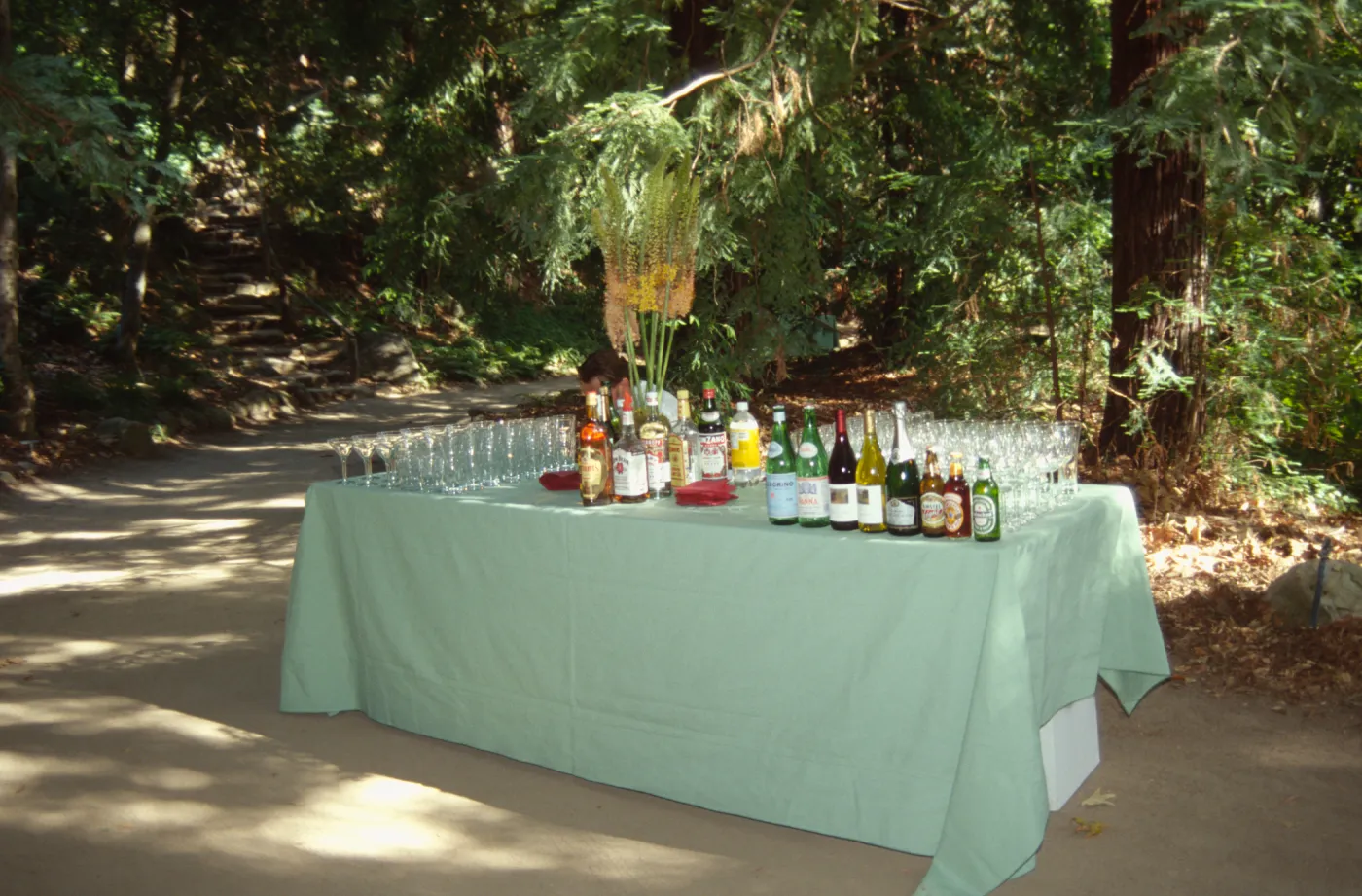 Redwood Dinner 1999