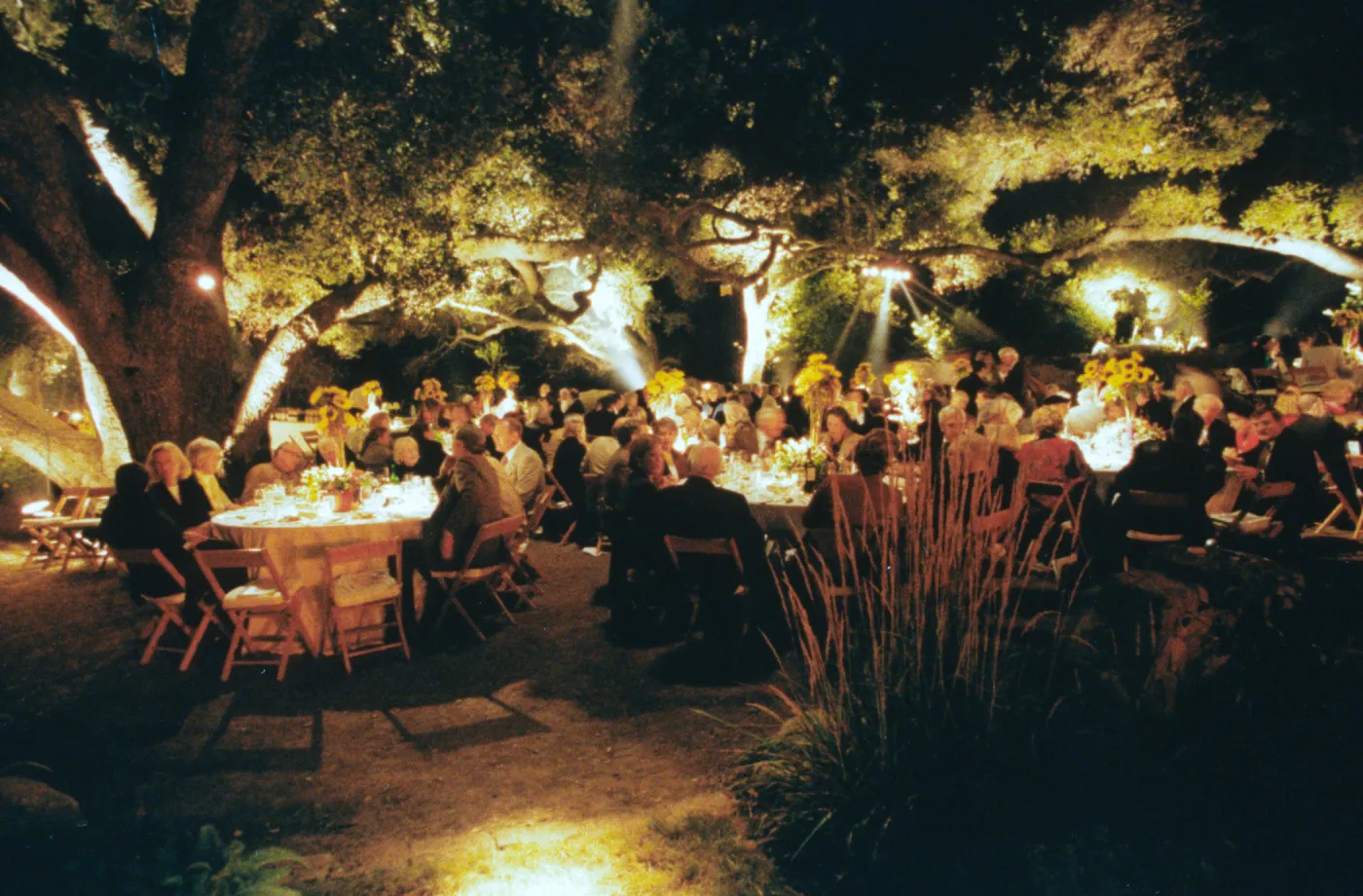 Night Music 1999