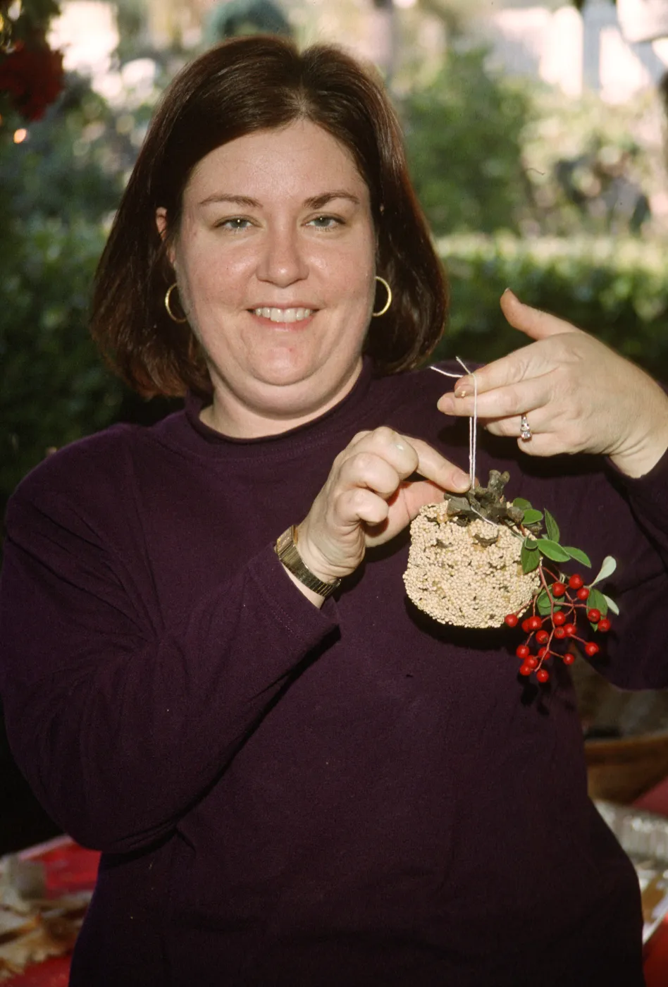 Winterfest 1996
