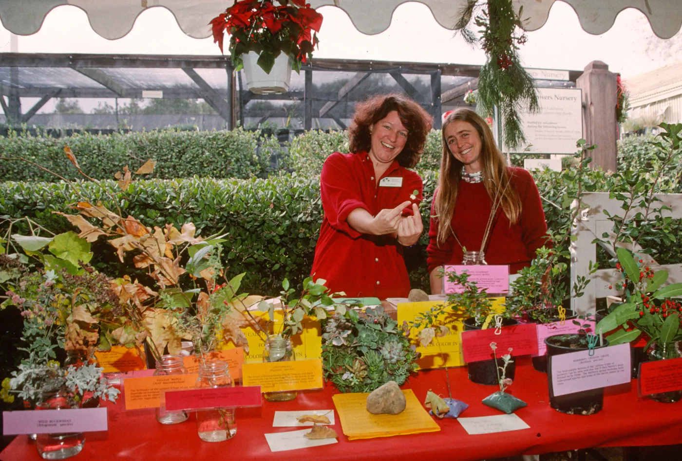 Winterfest 1997