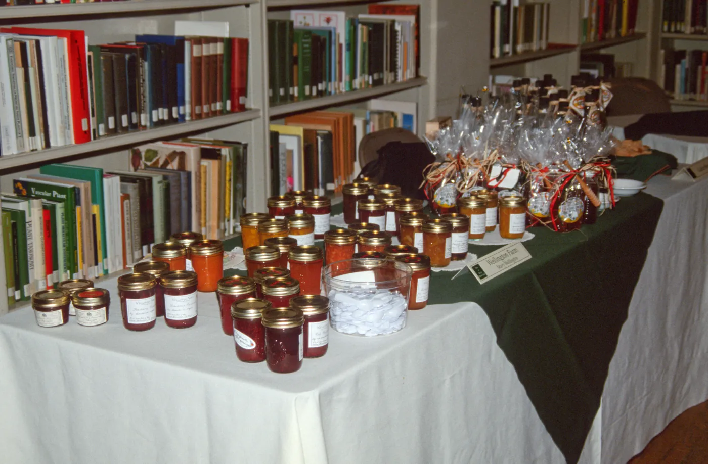 Winterfest 1998