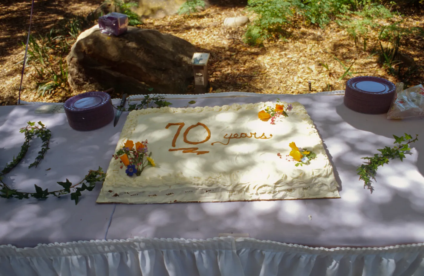 70th Birthday Cake