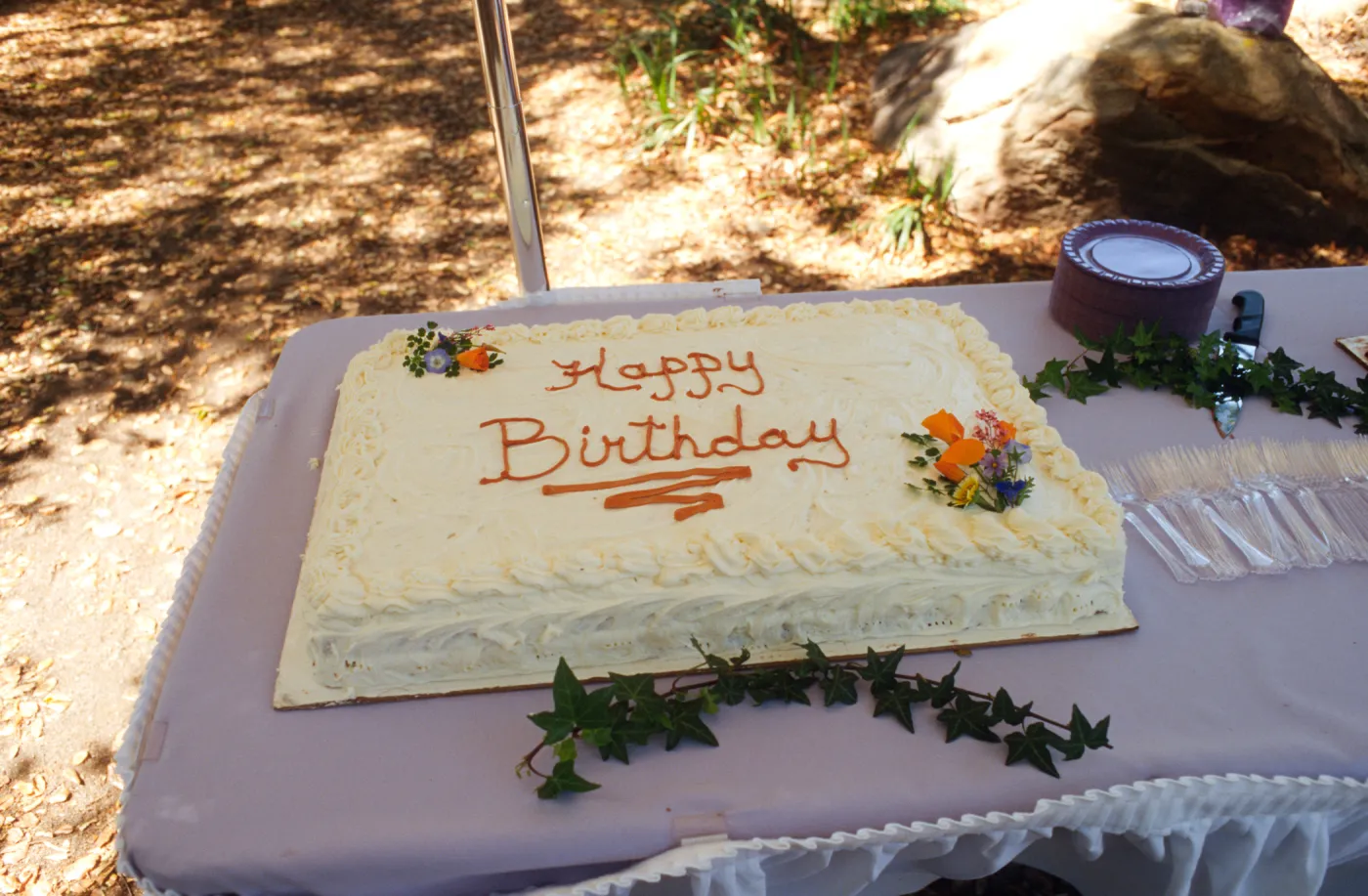 70th Birthday Cake