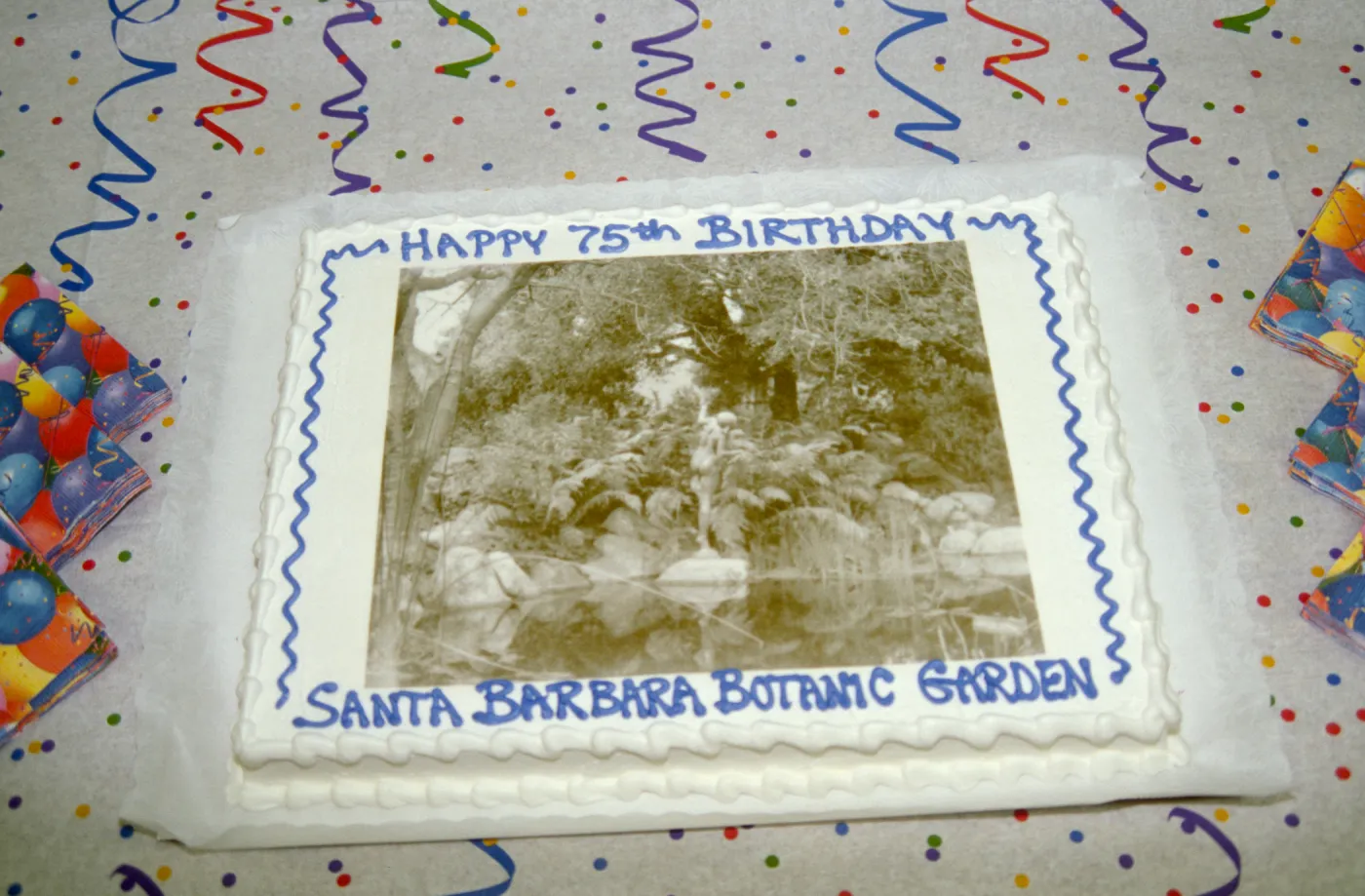 75th Anniversary Cake