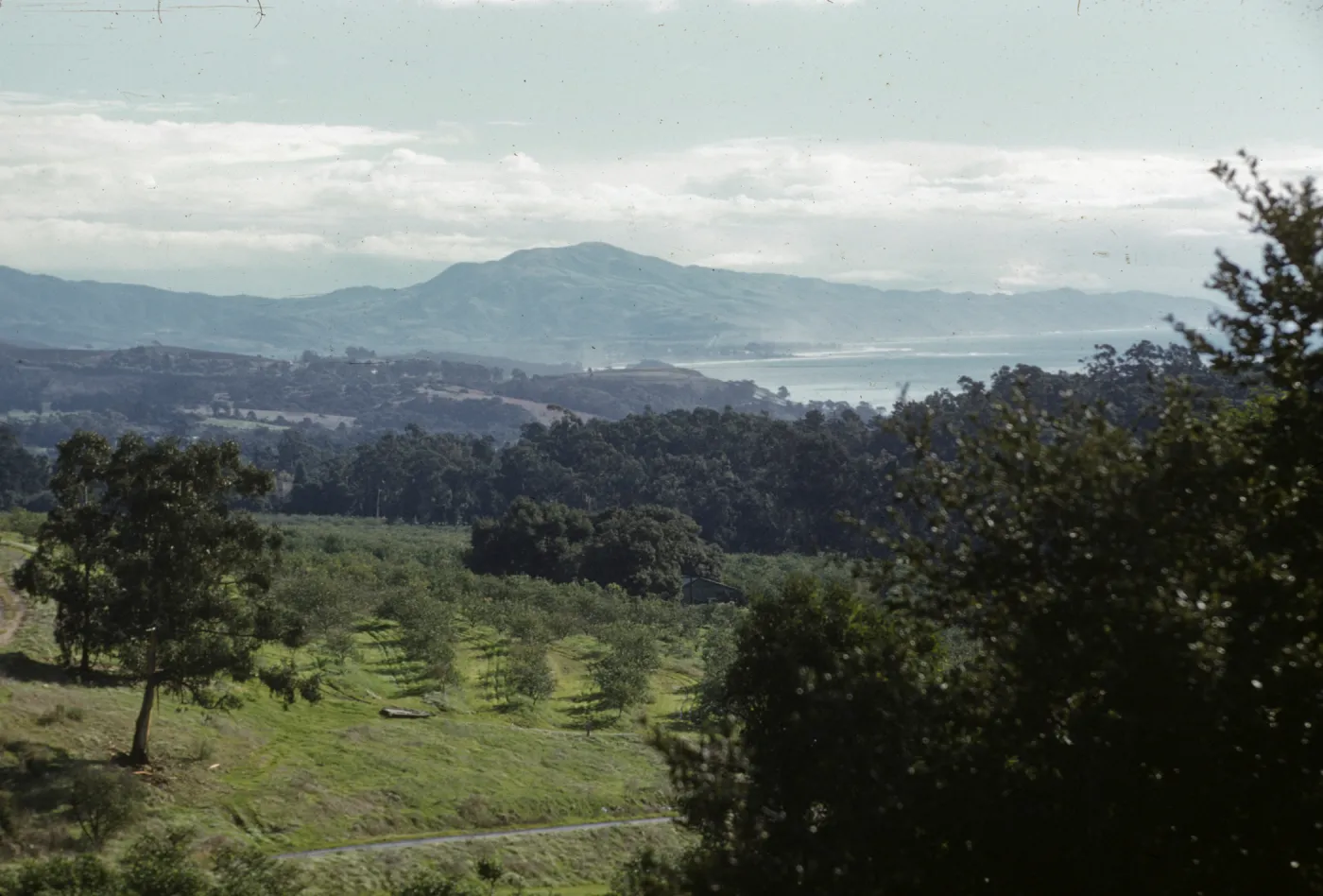 Ricon view from near Knapp Place
