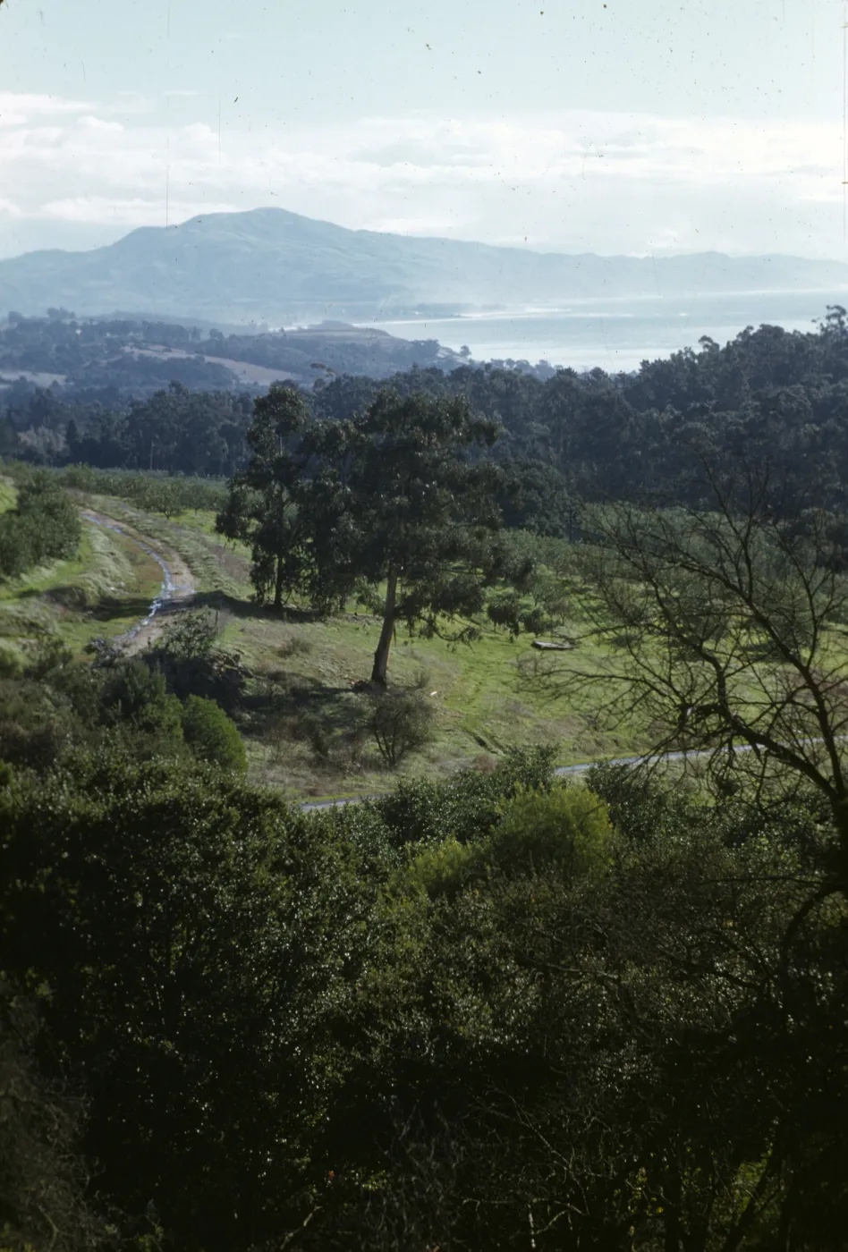 Rincon view from near Knapp Place