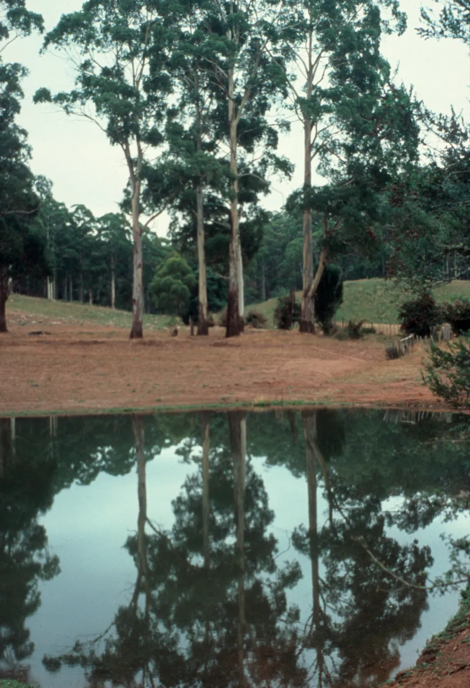 The river Don, a tributary stream, and five acres of lake enrich the Site.