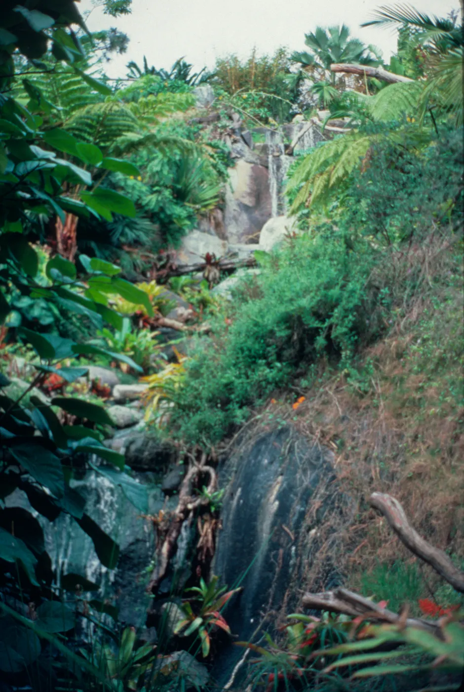 Mildred MacPherson Waterfall is one of the most popular spots in the garden.