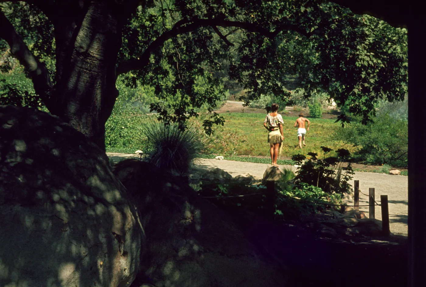 SBBG, view of Meadow from Information Kiosk
