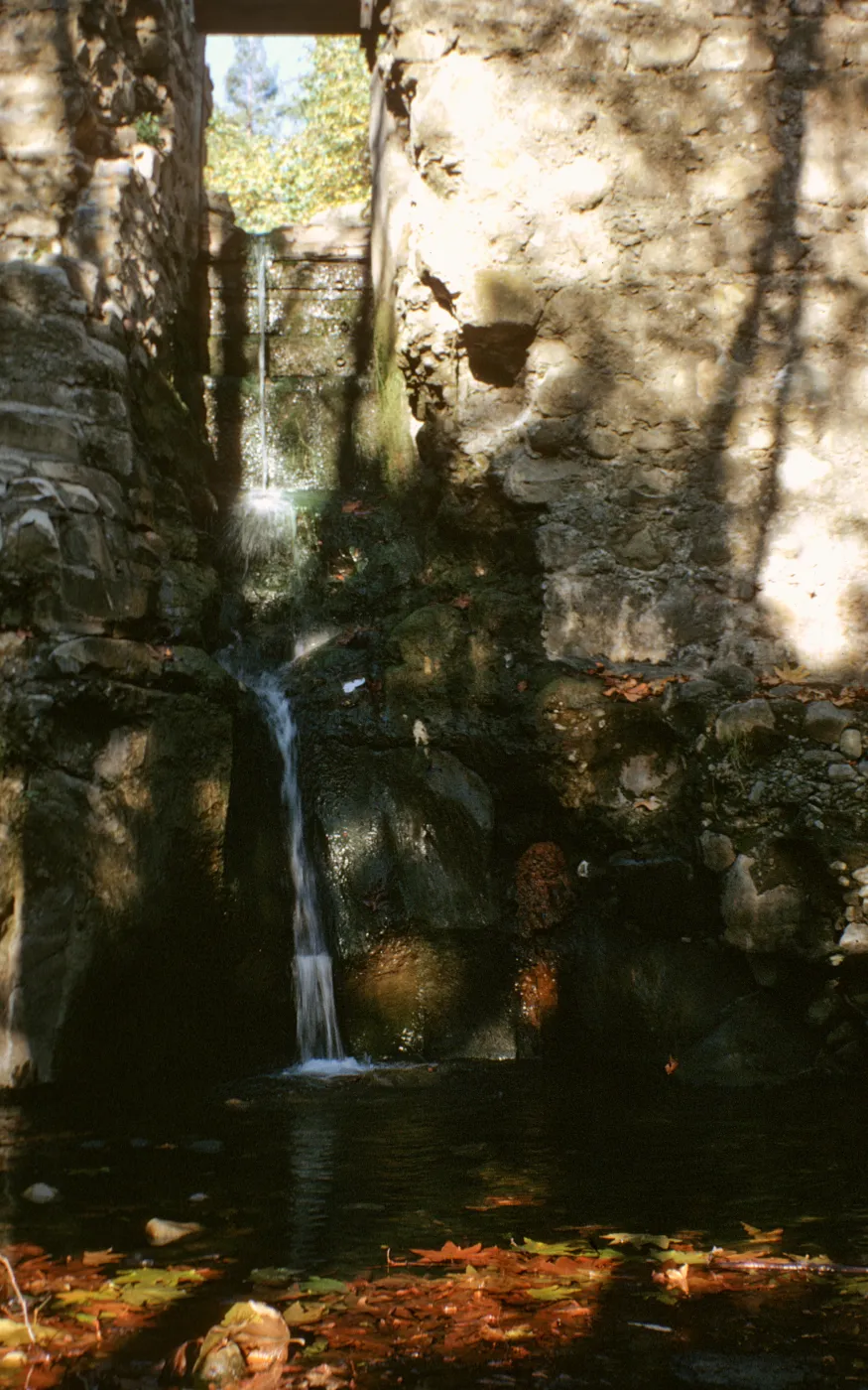 Mission Dam waterfall, Mission Creek, fallen sycamore leaves