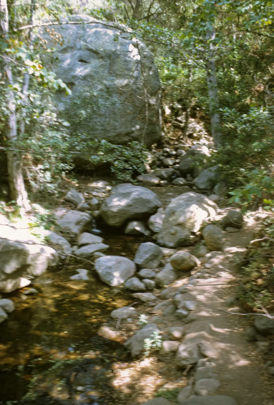 Mission Creek trail, SBBG