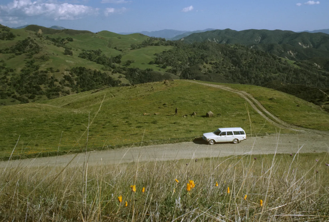 De la Guerra Springs, road