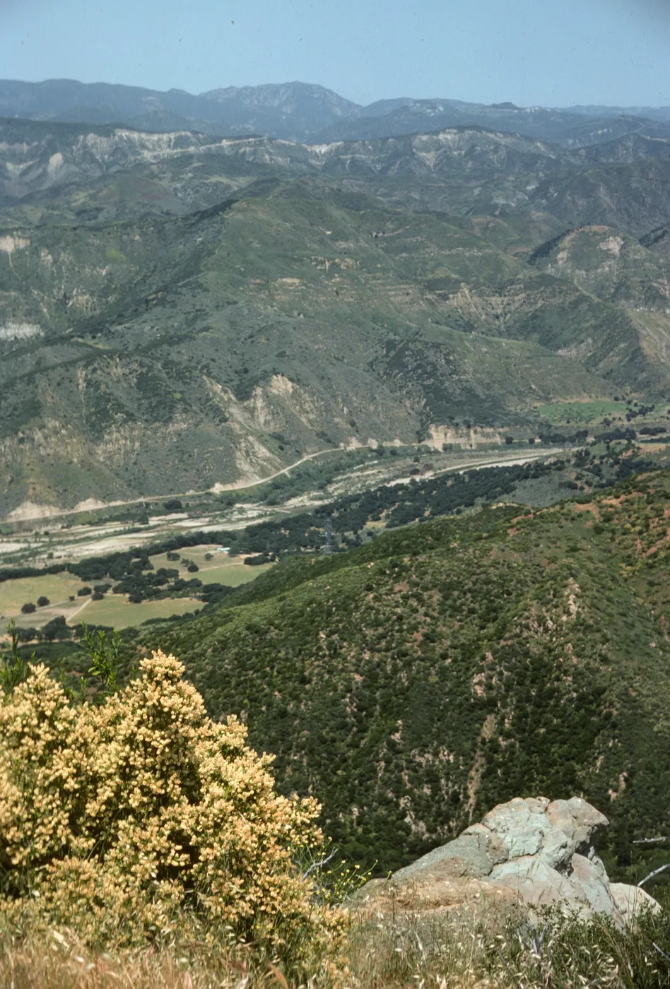 Santa Ynez valley view