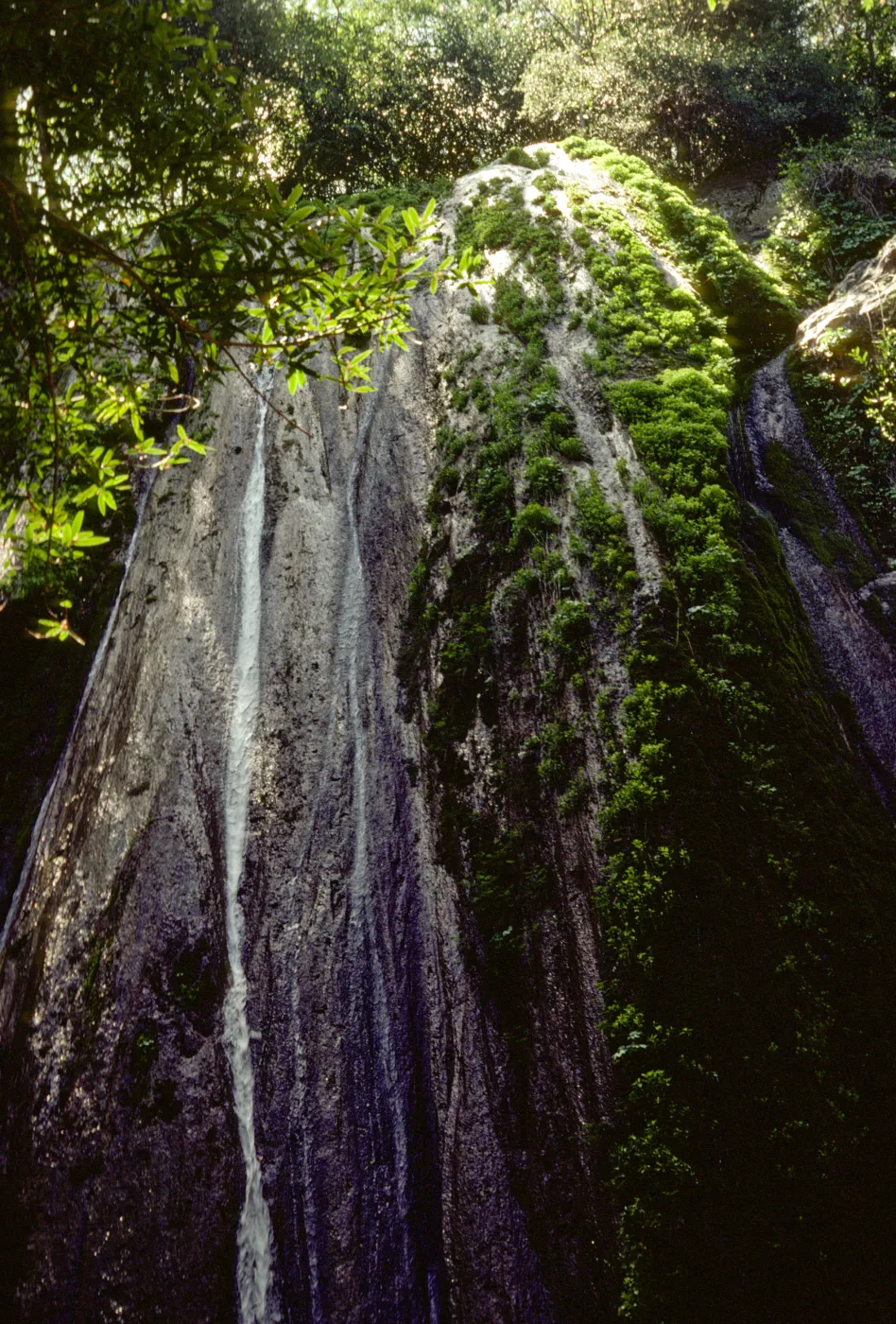Rose Valley Falls, waterfall