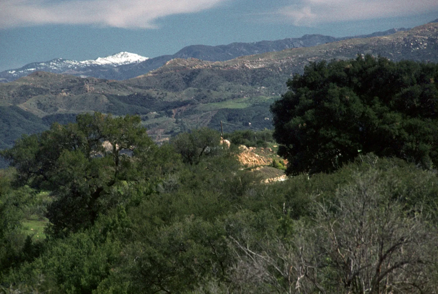 snow on San Rafael Mountains from West Camino Cielo