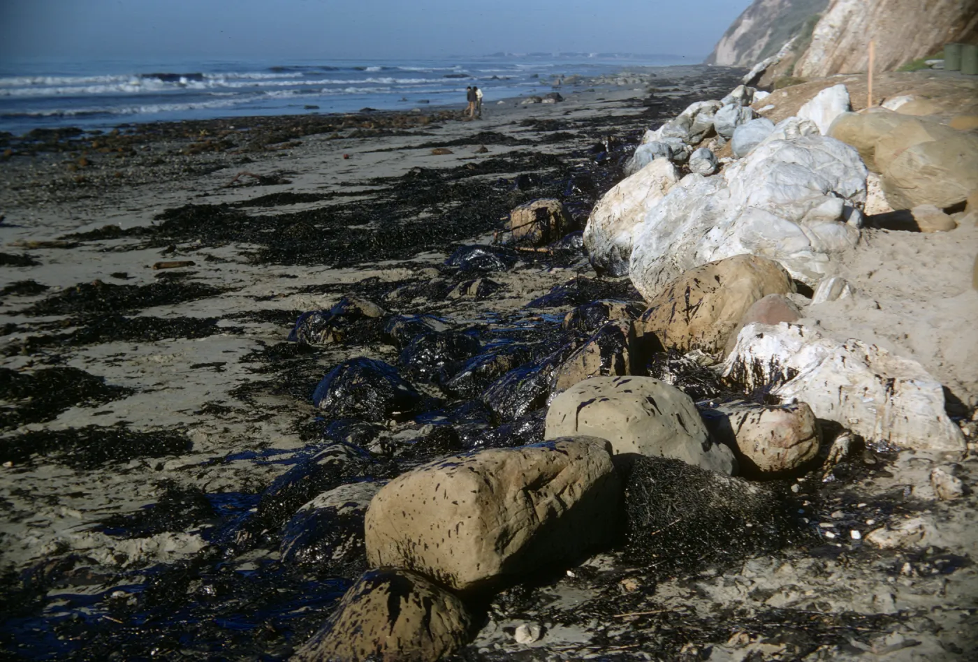 oil, Arroyo Burro Beach, Santa Barbara