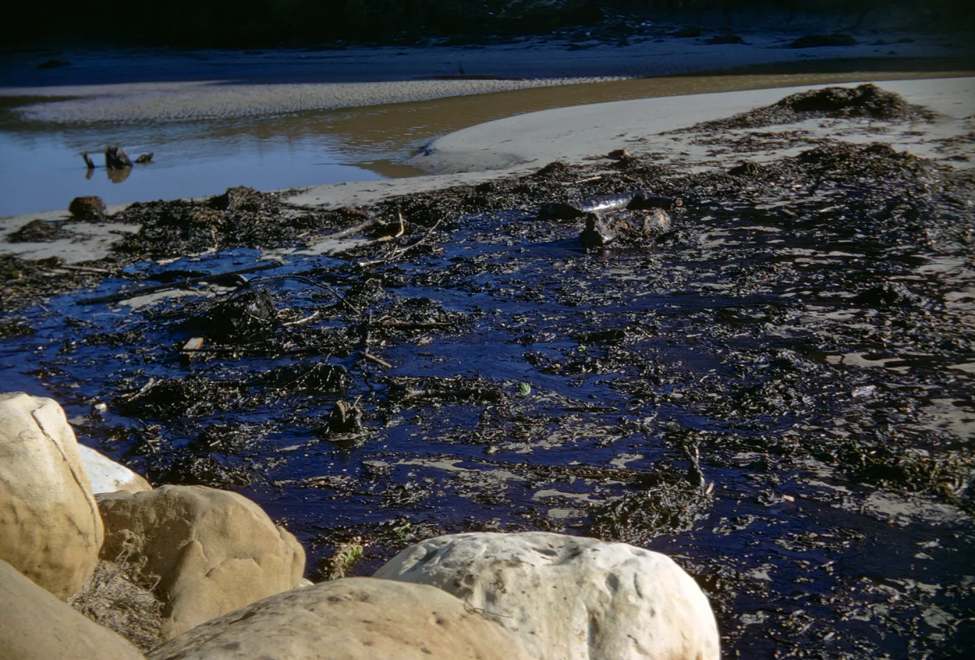oil, Arroyo Burro Beach, Santa Barbara, ocean waves