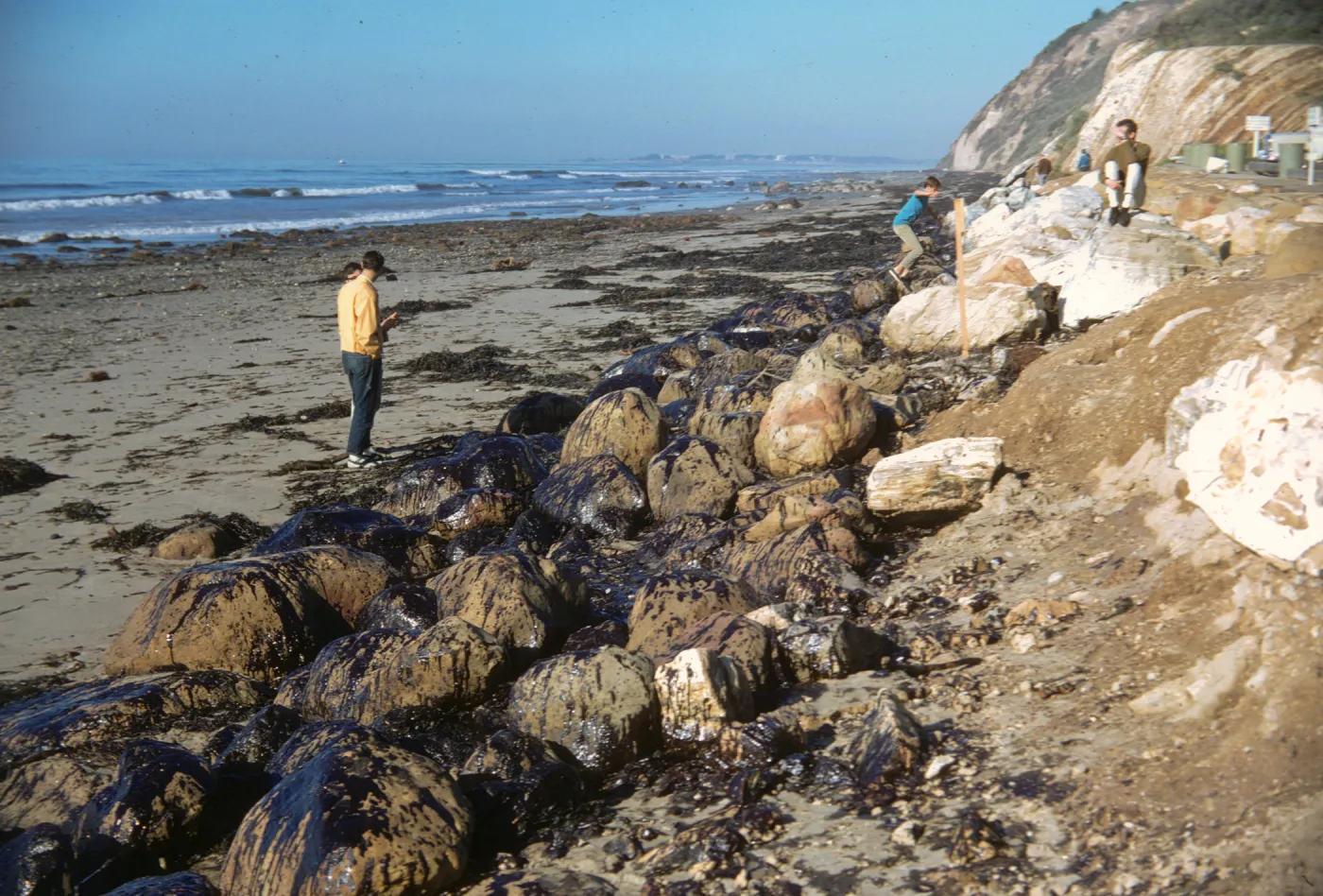 oil, Arroyo Burro Beach, Santa Barbara