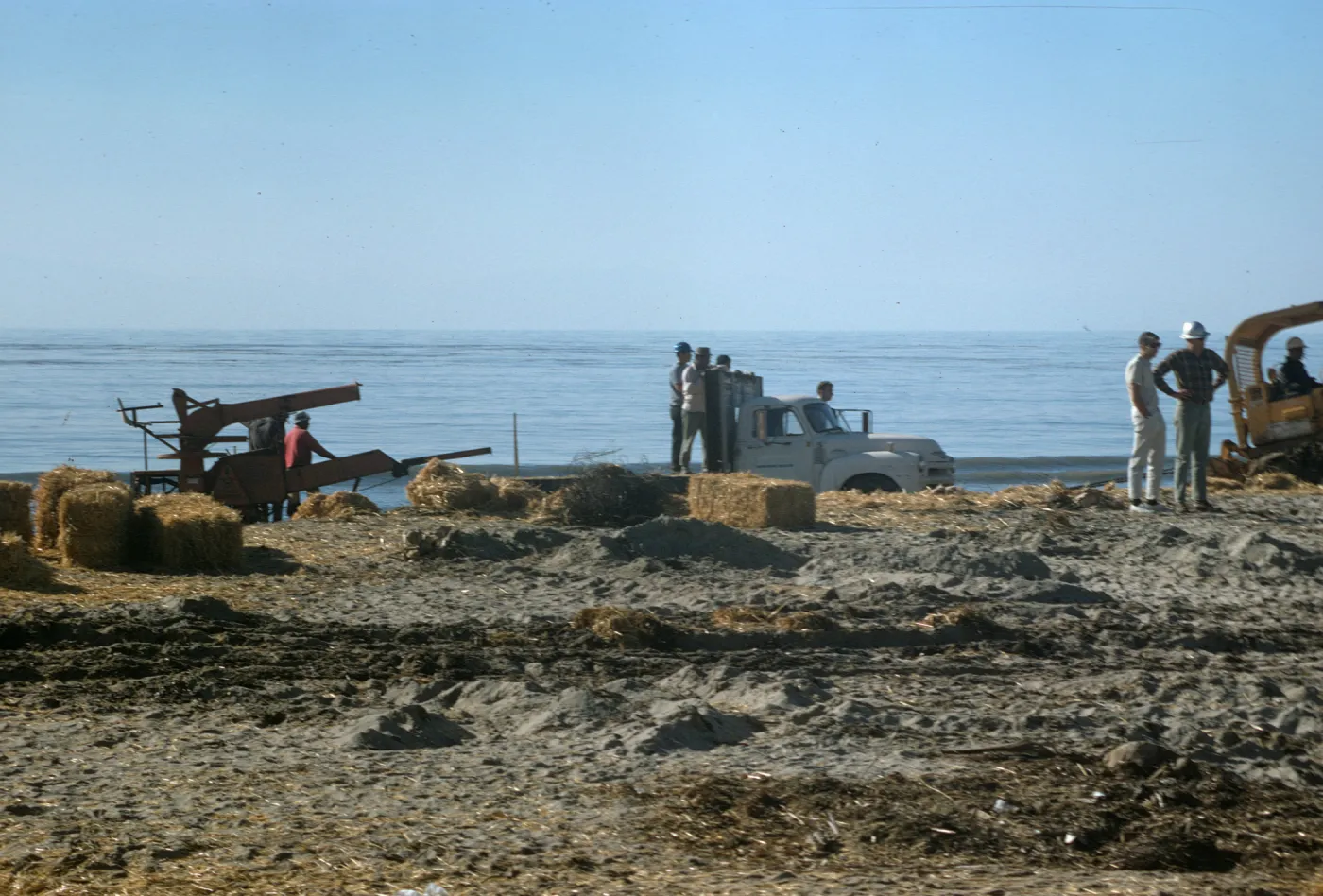 oil cleanup, main beach, Santa Barbara