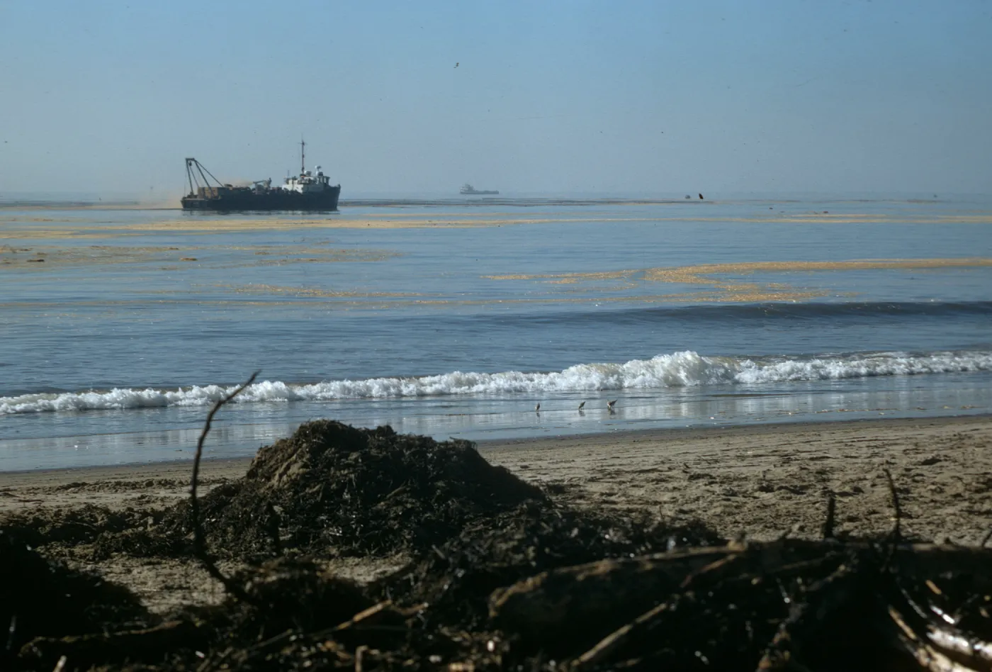 oil cleanup, East Beach, Santa Barbara