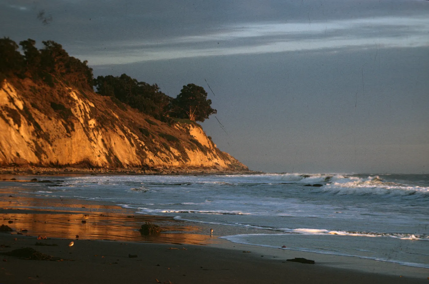 late afternoon sun, Arroyo Burro Beach, Santa Barbara, ocean waves, shore birds