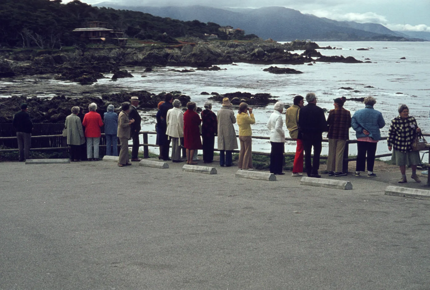 SBBG field trip, viewing sea otters at Point Lobos