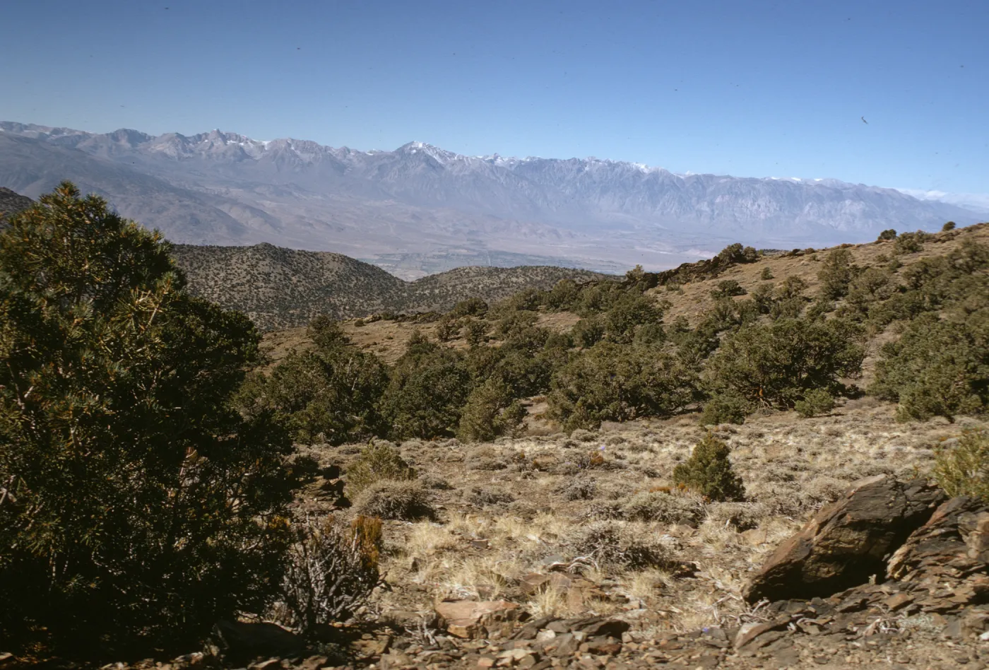 White Mountains vista, distant Mt Tom