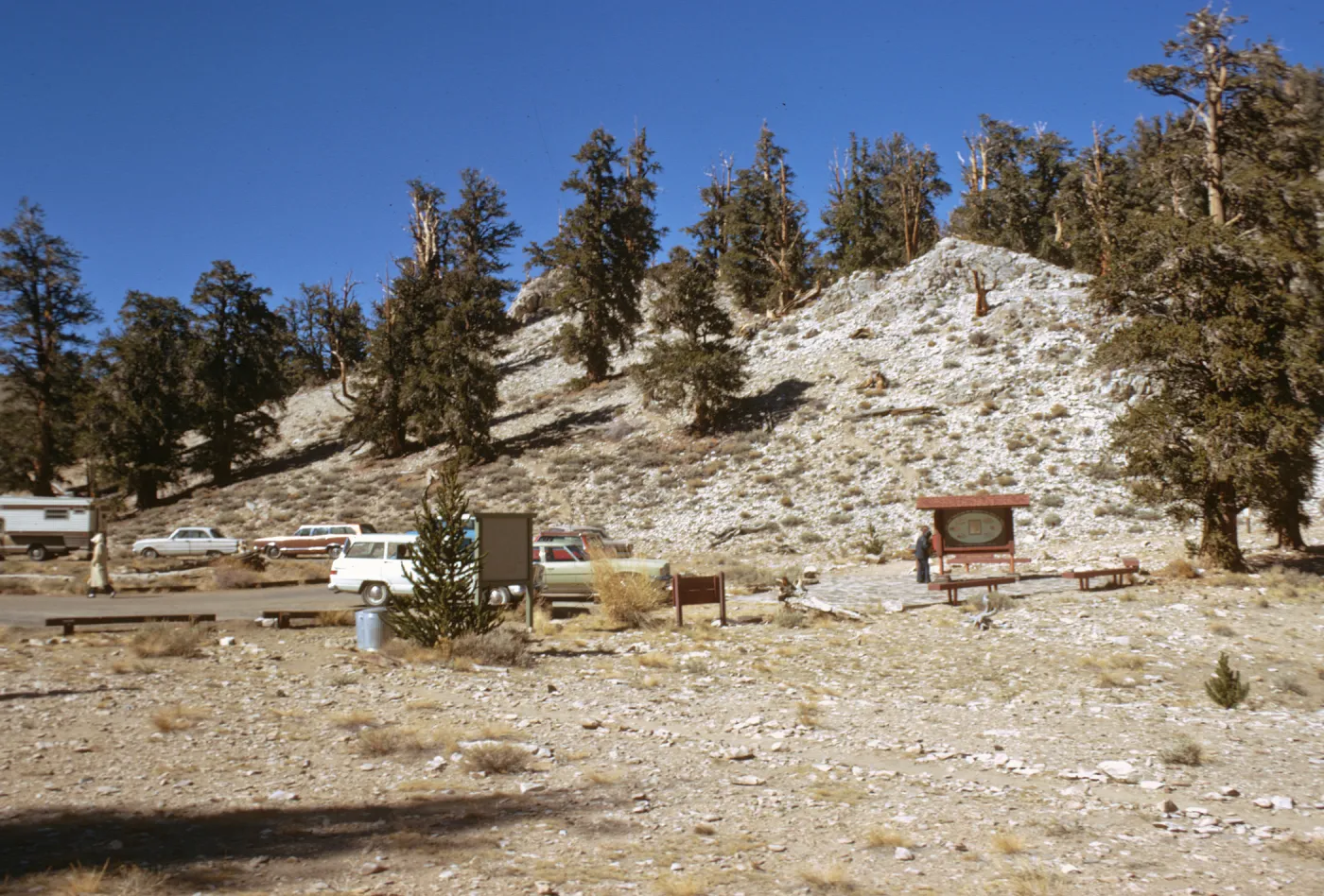 Schulman Park, White Mountains