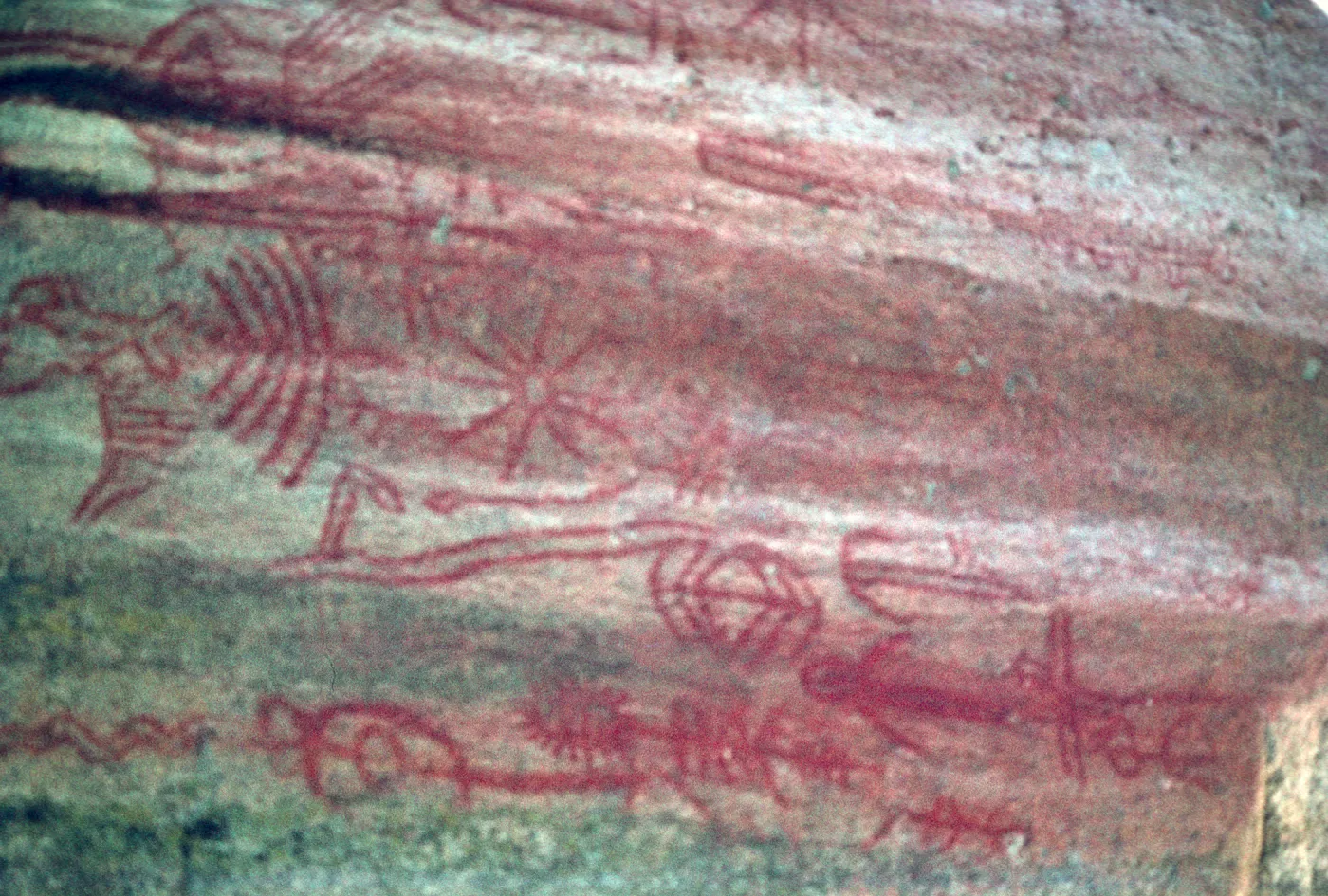 petroglyphs, Hospital Rock, Sequoia National Park