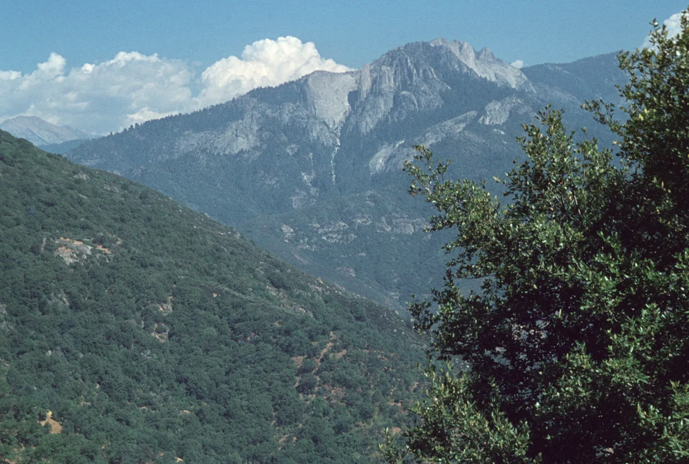 mountains, Sequoia National Park