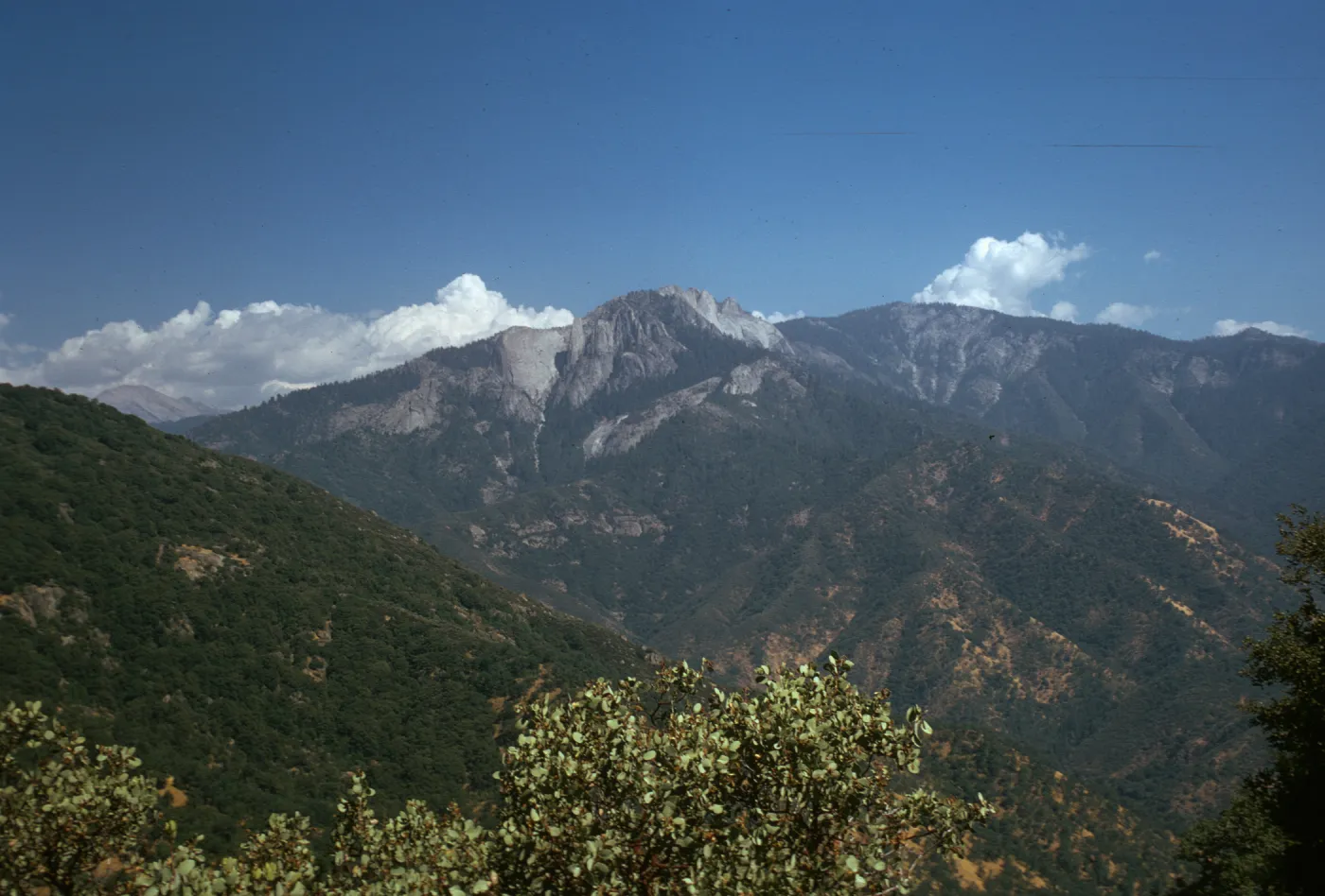 Sequoia National Park, viewing east crest Sierra Nevada Mountains