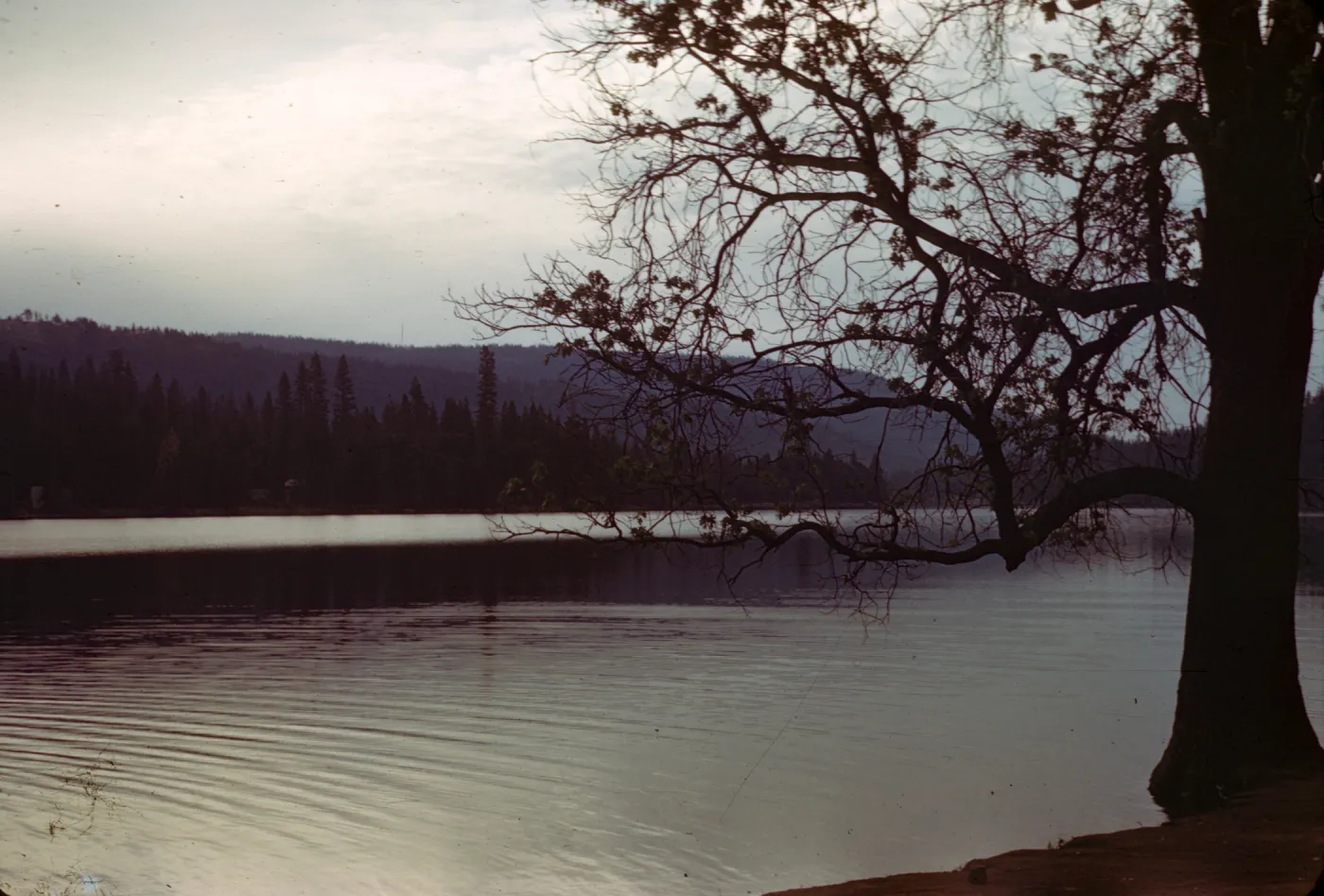 Bass Lake