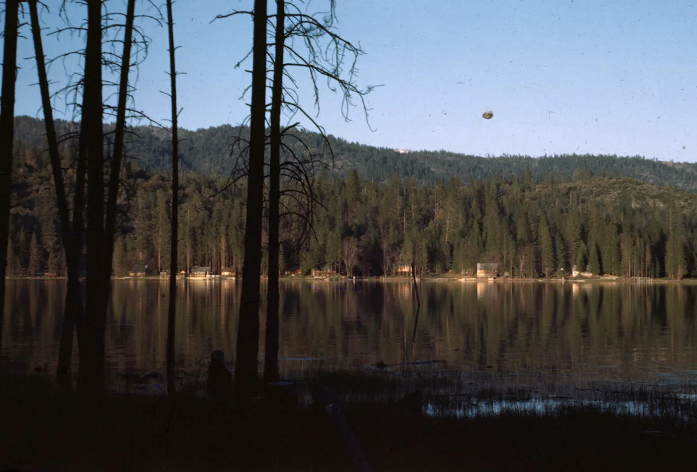 Bass Lake