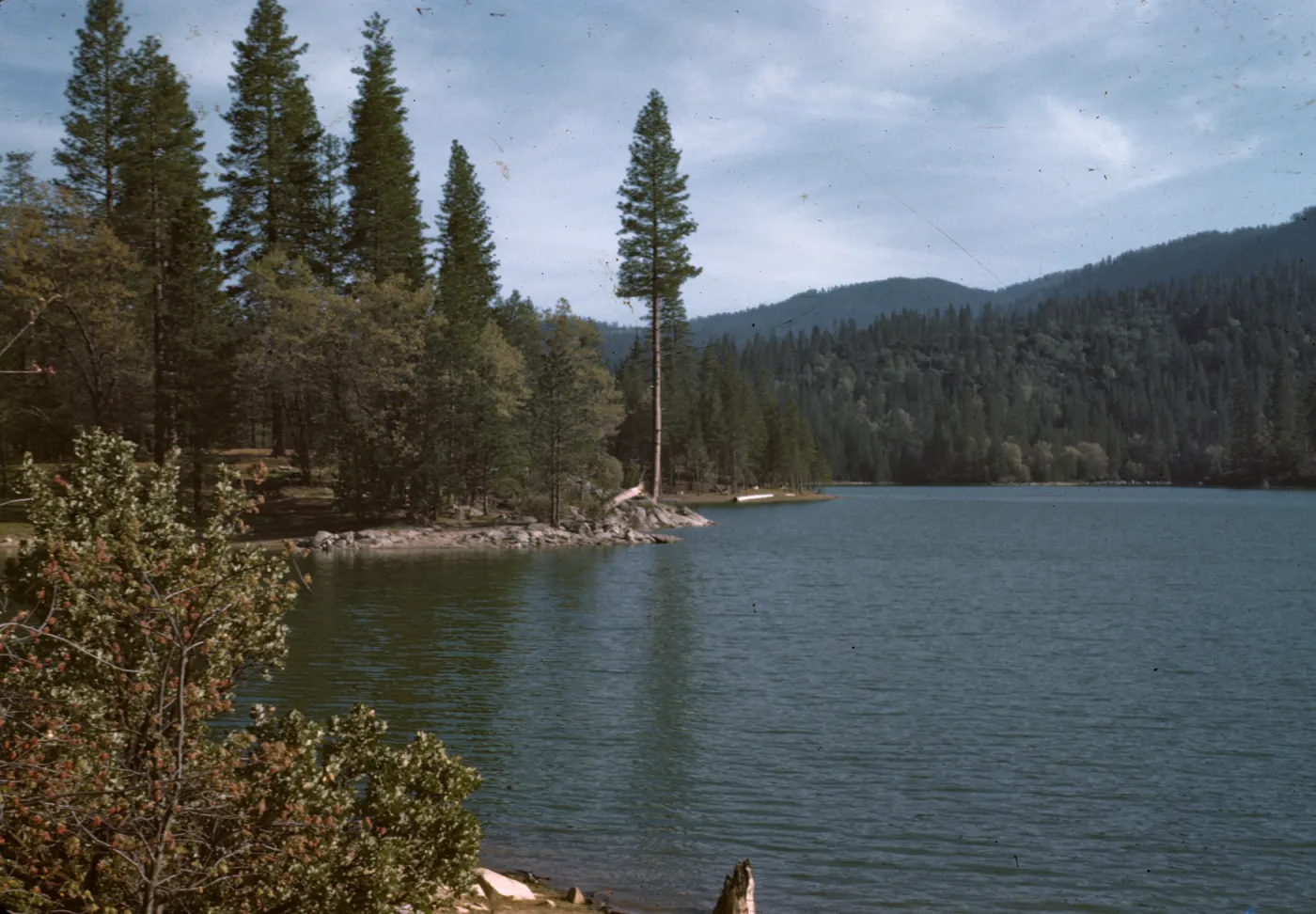 Bass Lake