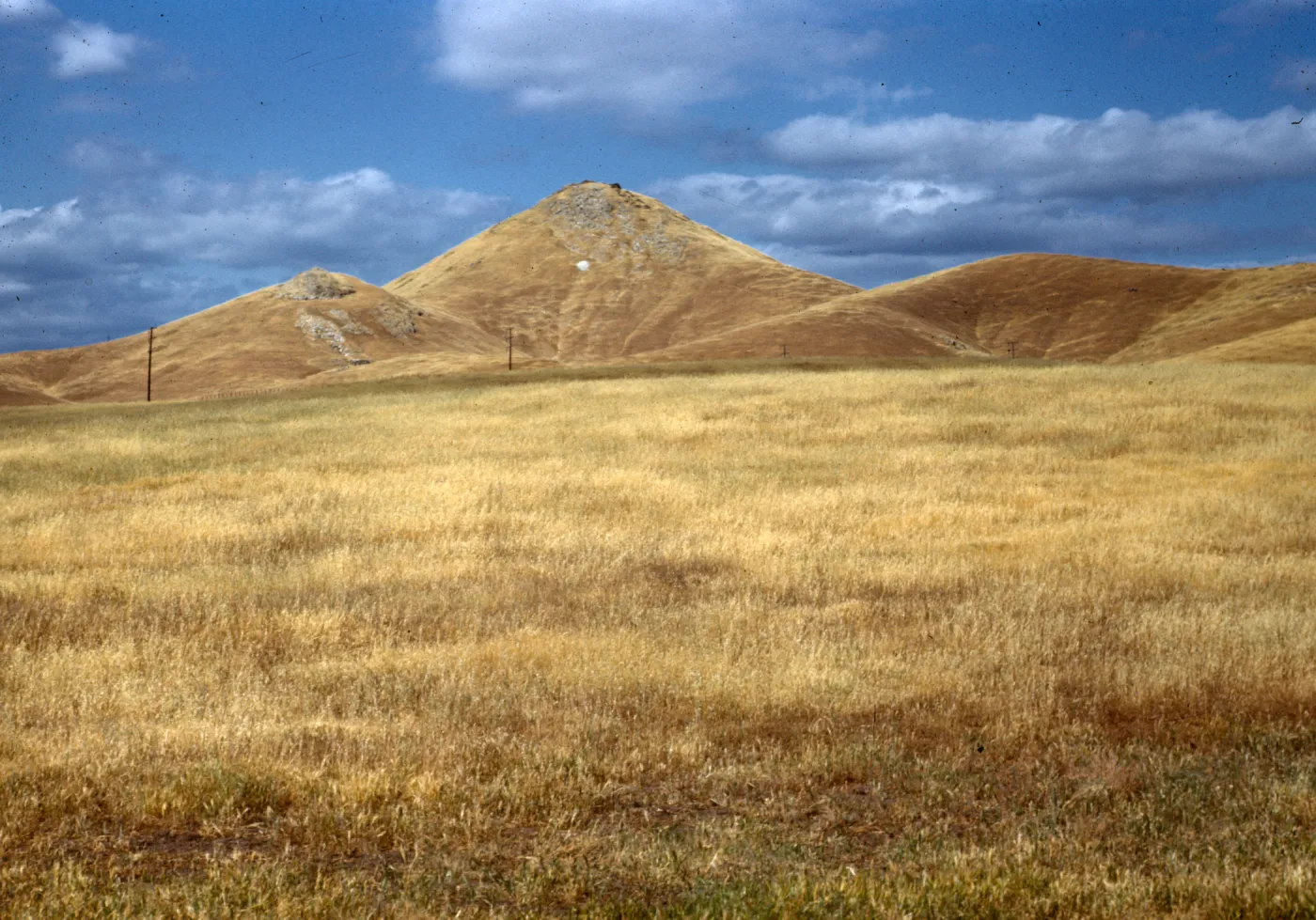 brown foothills near Springville