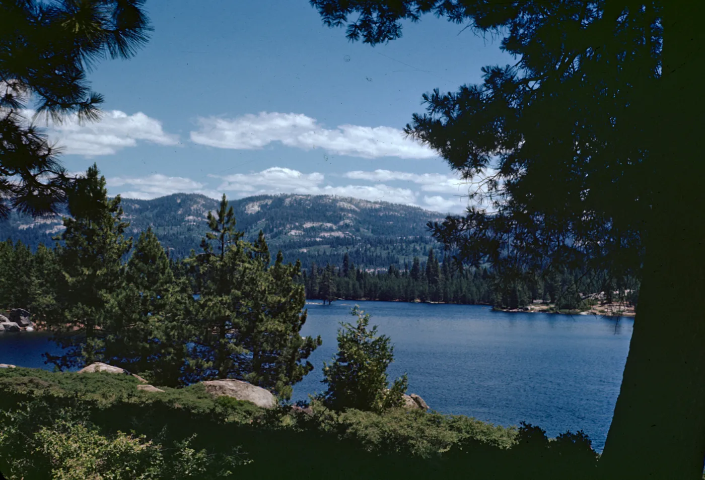 Shaver Lake