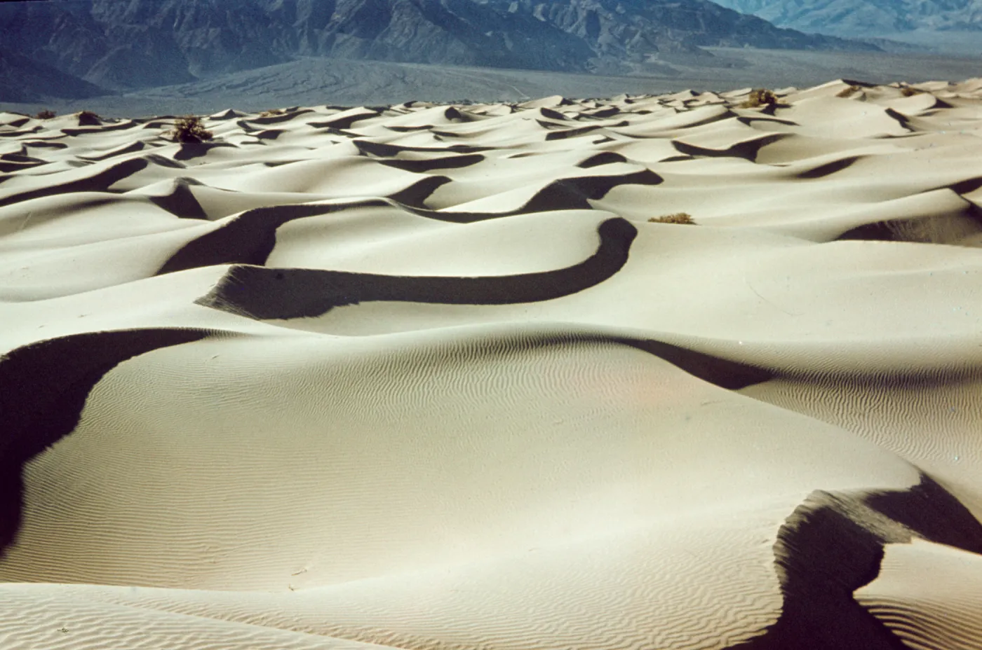 DV 70 'Sand dunes near Stovepipe Wells'