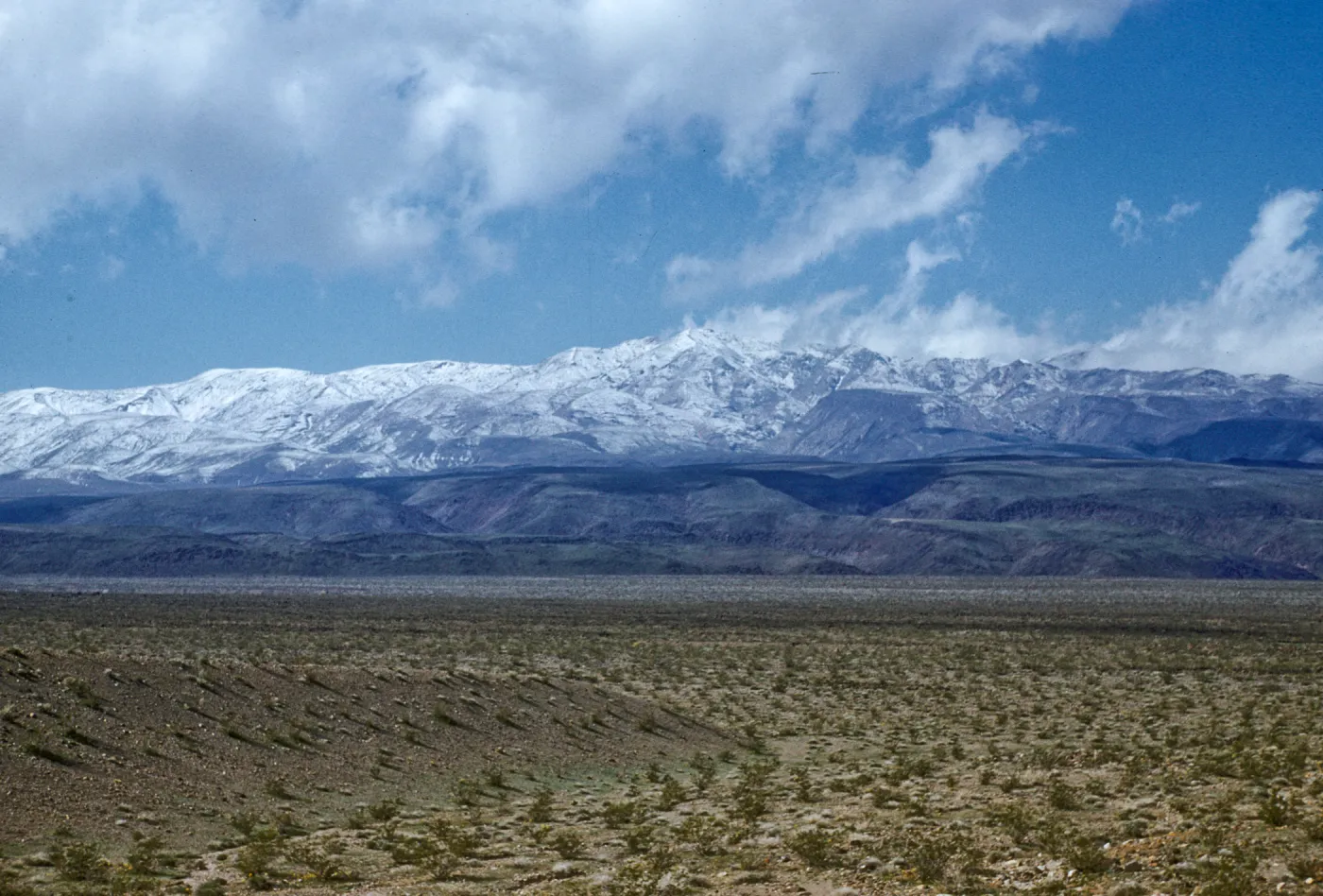 looking north to the snow-covered Panamint Mountains, Death Valley