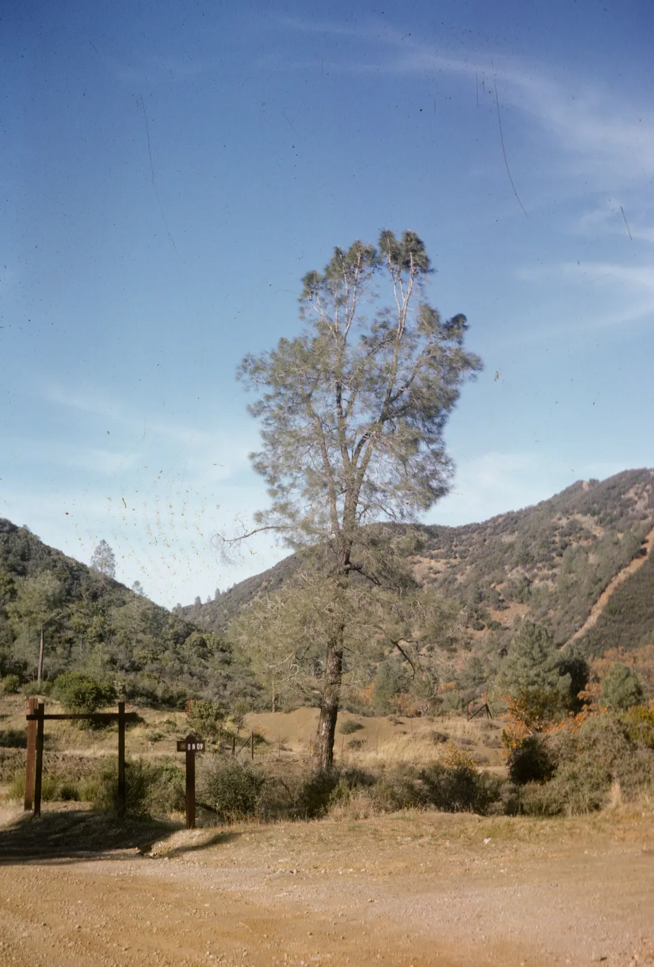 Figueroa Mountain, Cachuma Saddle