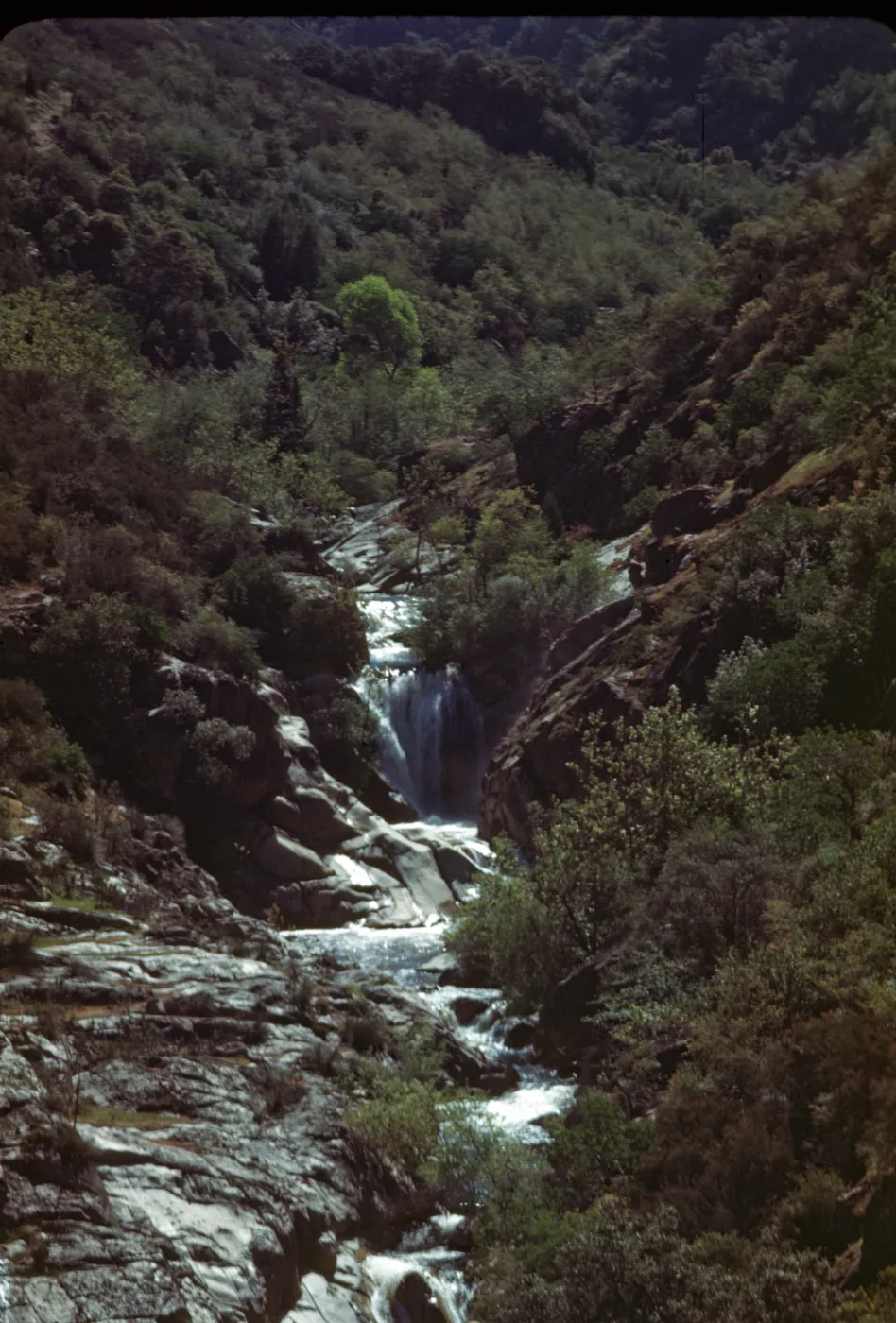 Tule River above powerhouse, elevation 3100 feet, waterfall